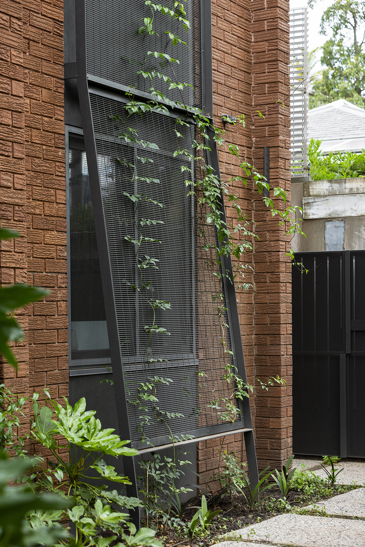 Fitzroy Apartment - Simon Ellis Landscape Architects