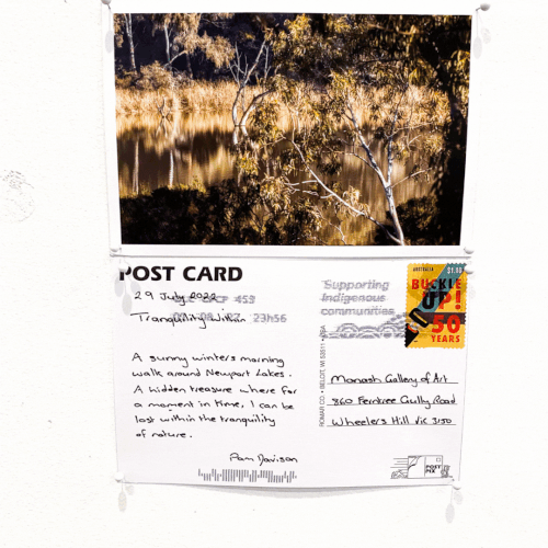 Tim Allen Photography — Postcards From Our Big Backyard