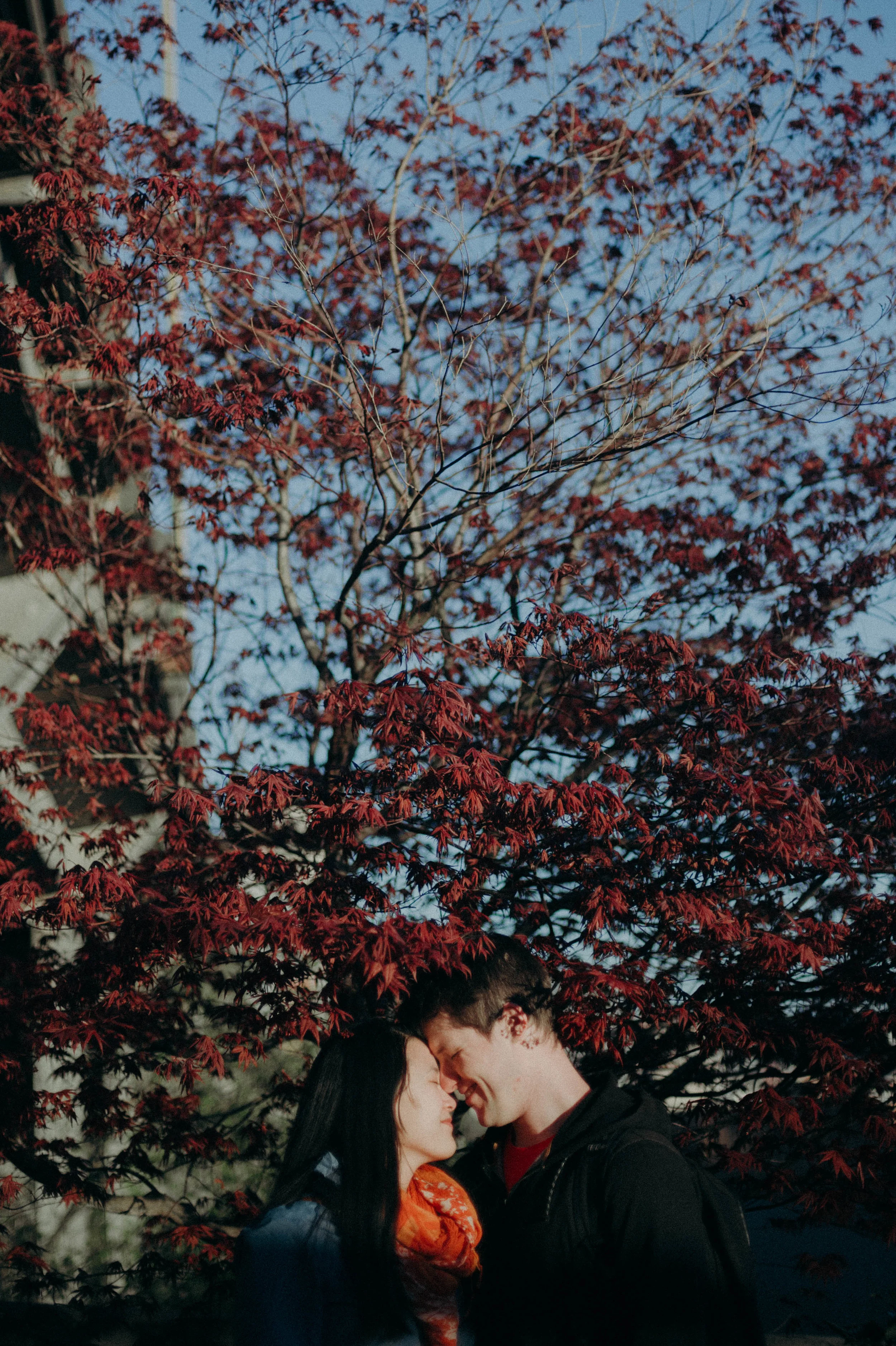 s18.jpg