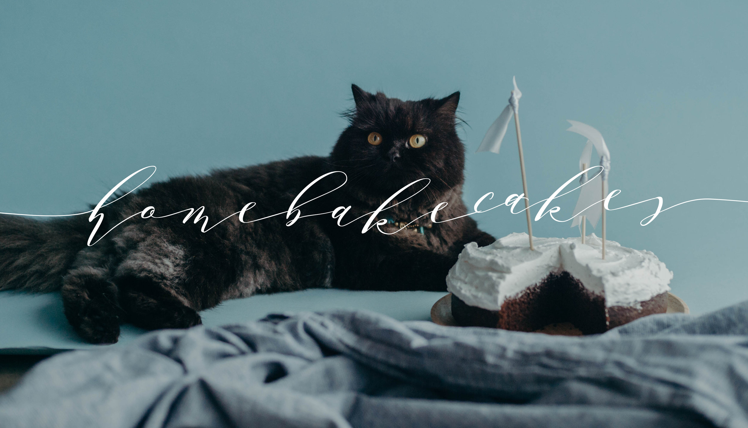 Homebake Cakes