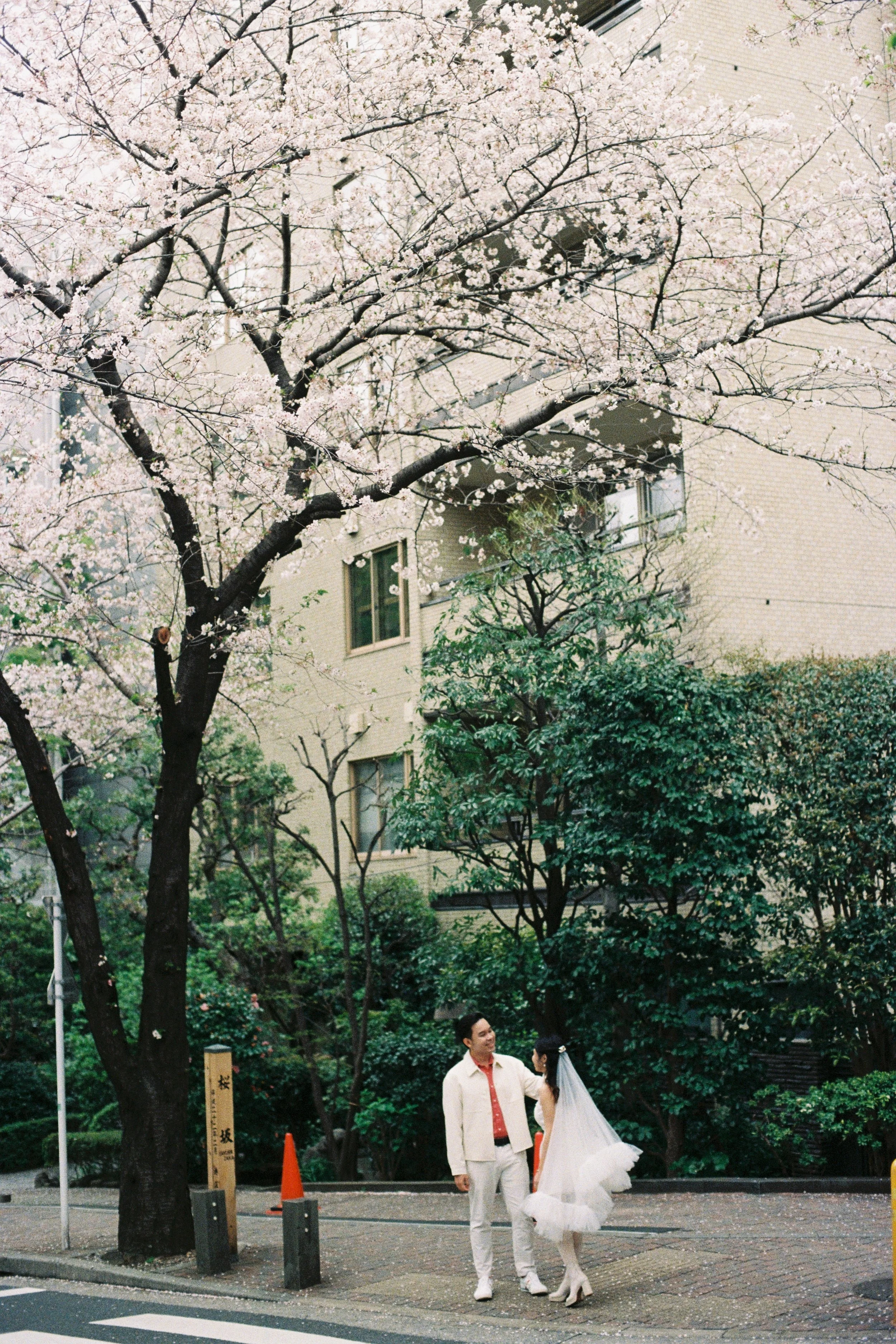 KODAK GC400 (11).JPG