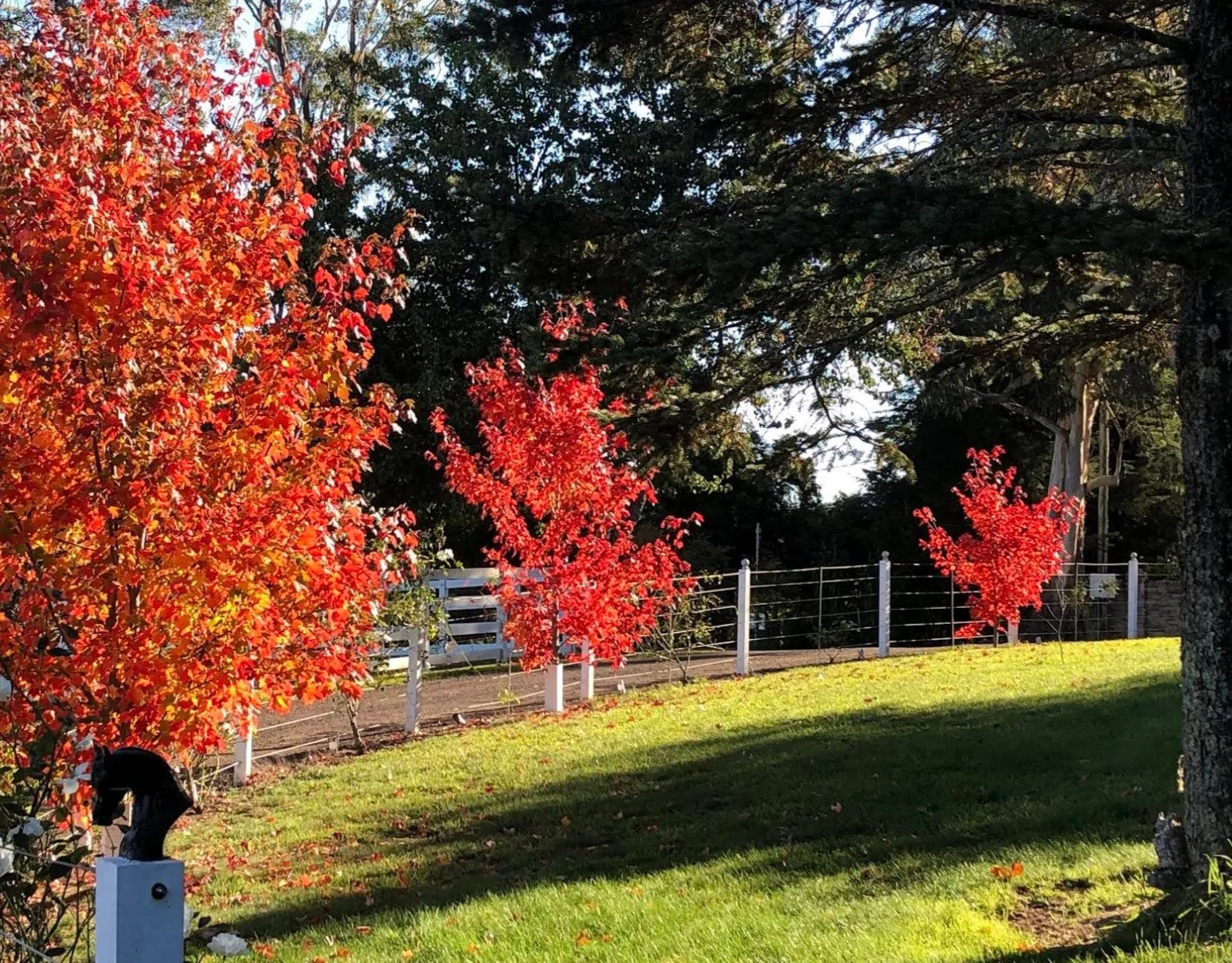 Farm autumn 2.jpg
