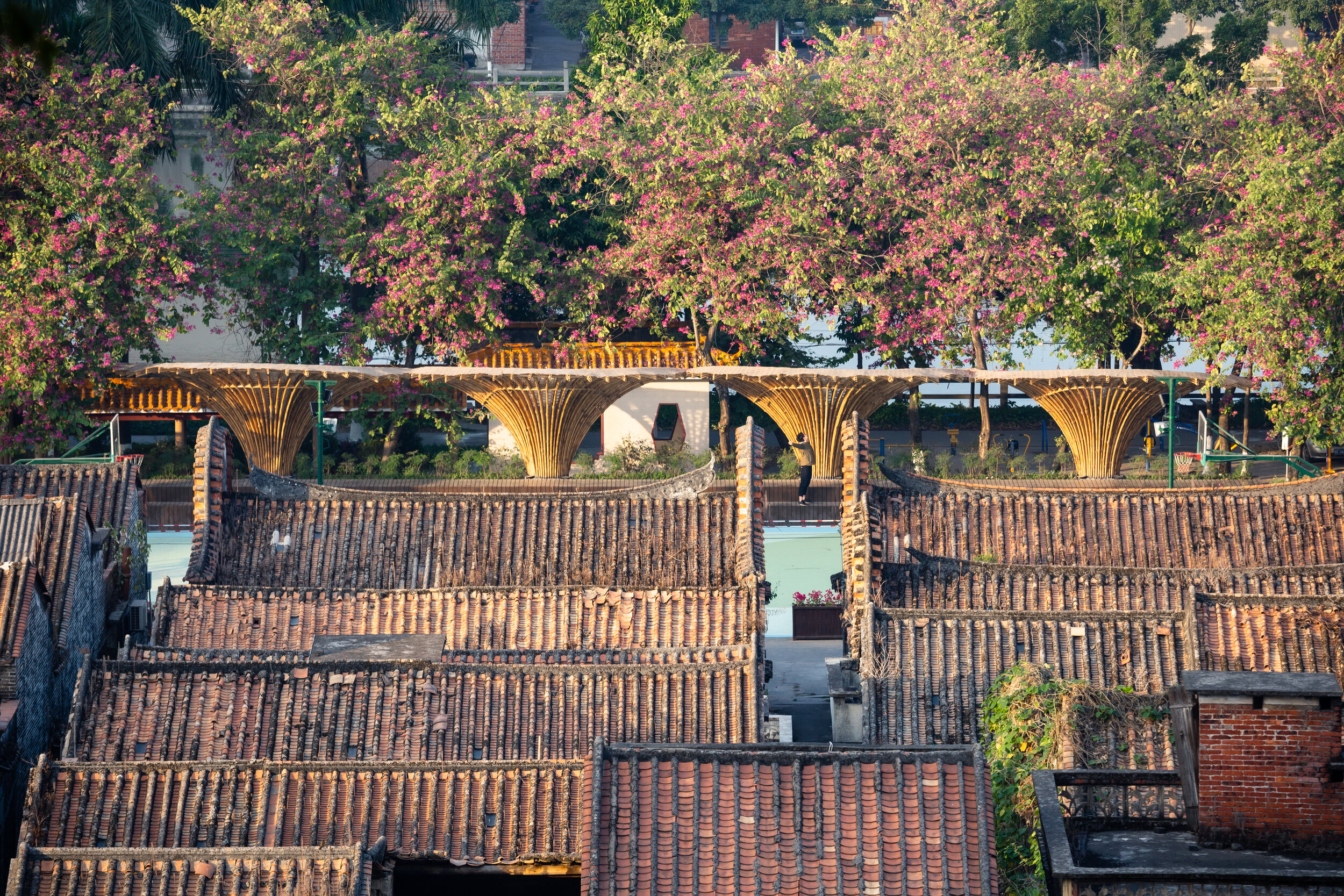 长岐球场竹廊 Changqi Bamboo Corridor, Foshan