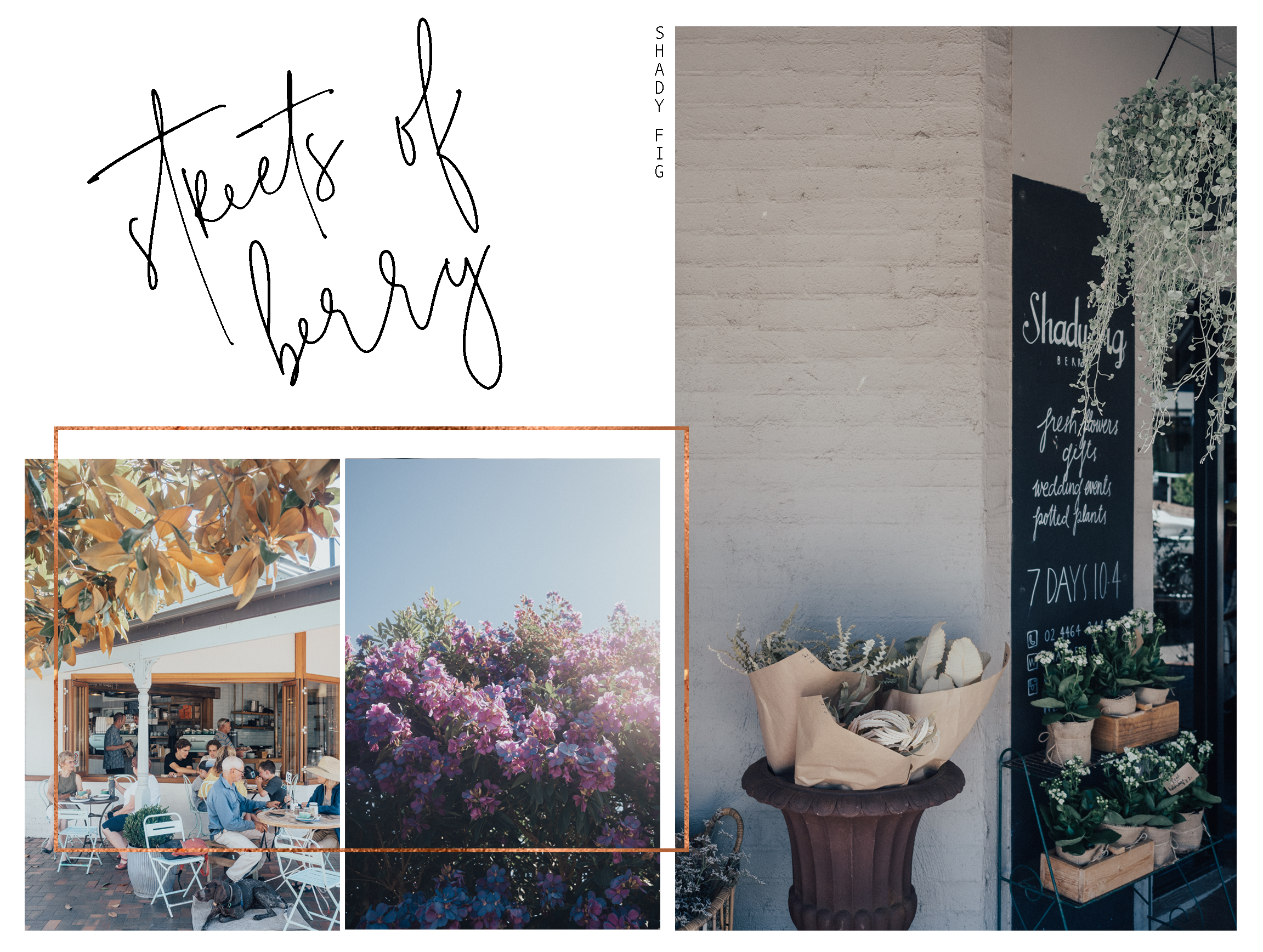 Travel_Blog_Australia_NSW_Roadtrip_Southern Highlands_Berry_The Shady Fig.jpg