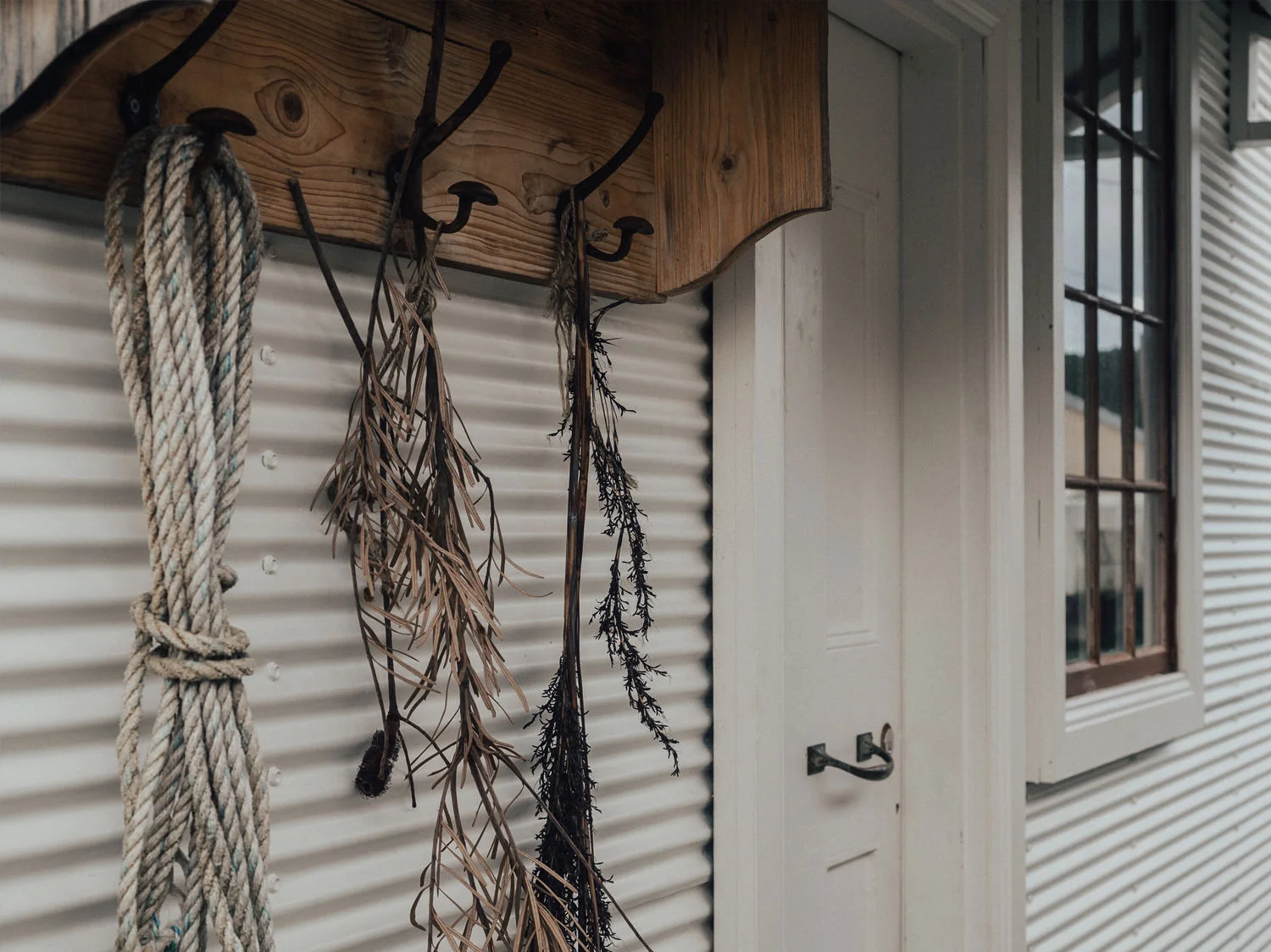 Travel_Australia_Guide_Weekend_Destination_Hotel_Airbnb_Inique_Shack_Cabin_Beach_Tasmania_Captains Rest_Sarah Andrews_TAS_Strahan_Pauline Morrissey.jpg