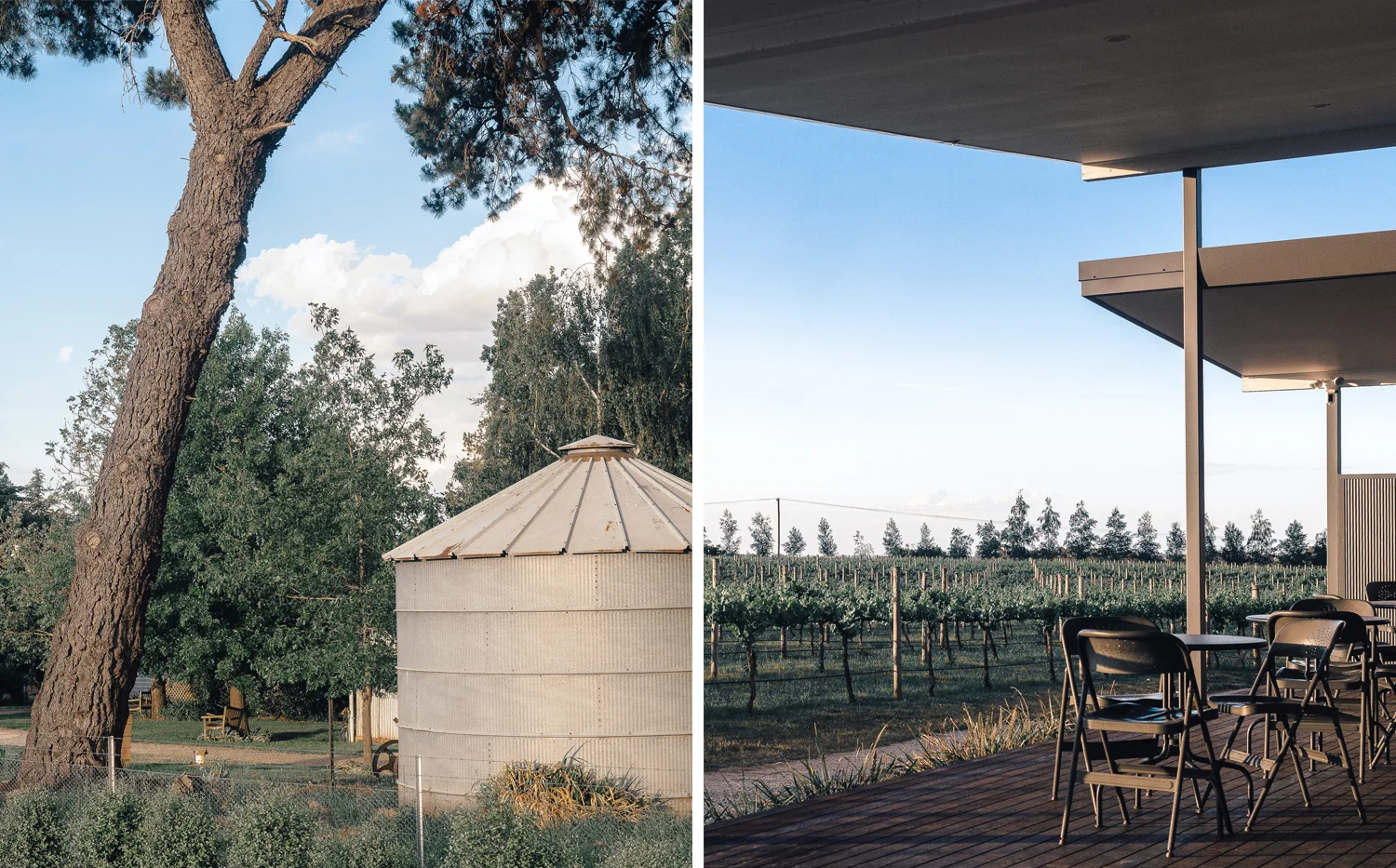 Travel_Australia_Guide_Weekend_Destination_Hotel_Airbnb_Things To Do_Pauline Morrissey_NSW_Orange_Winery_Rowlee Wines Vineyard.jpg