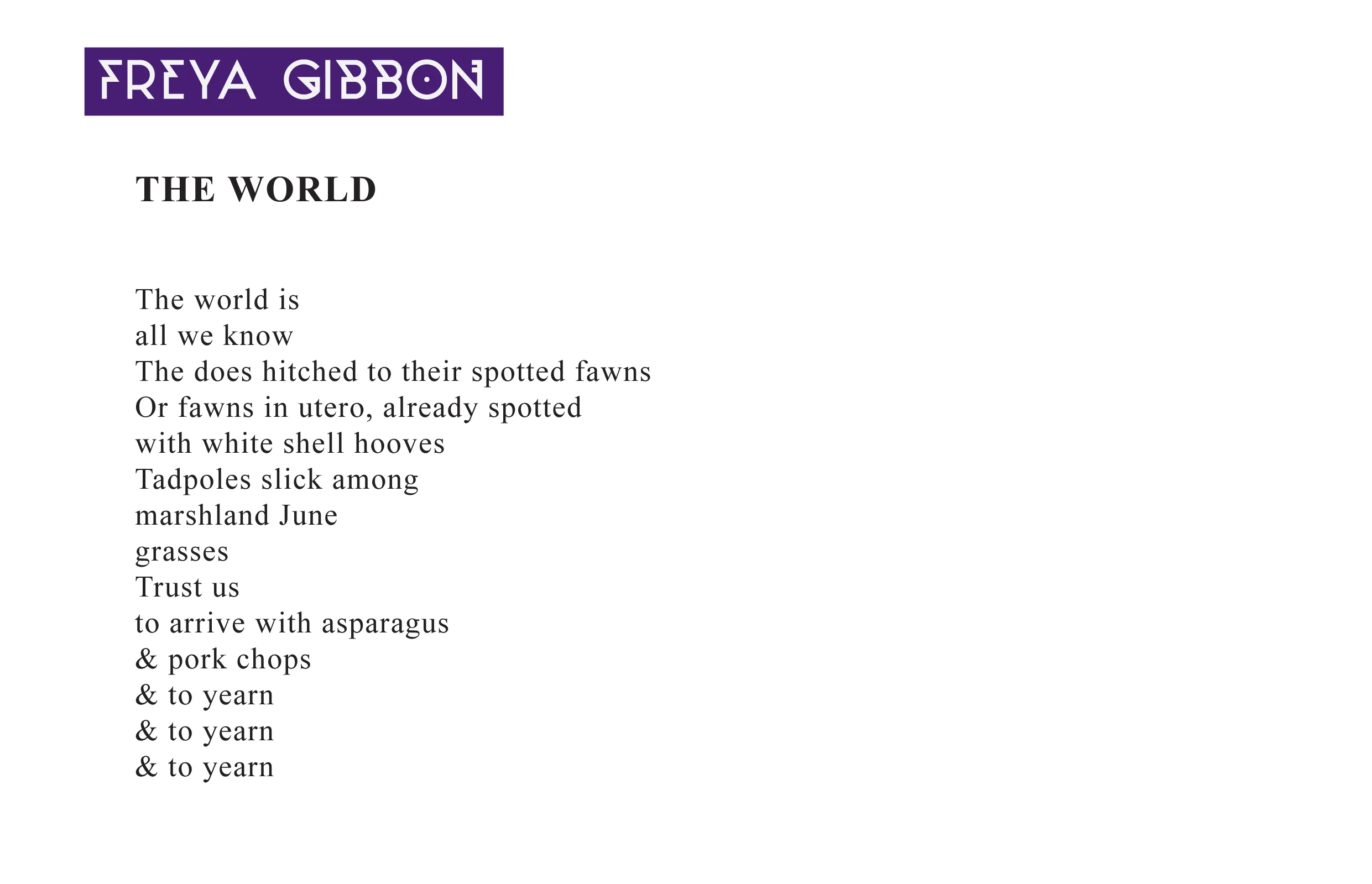 Gibbon.jpg