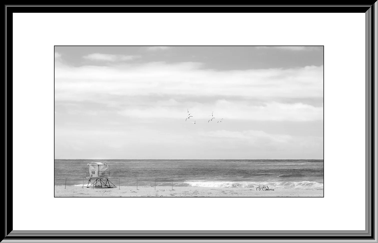 Framed_MG_0466-Edit-Edit-Edit-2-Edit copy.jpg