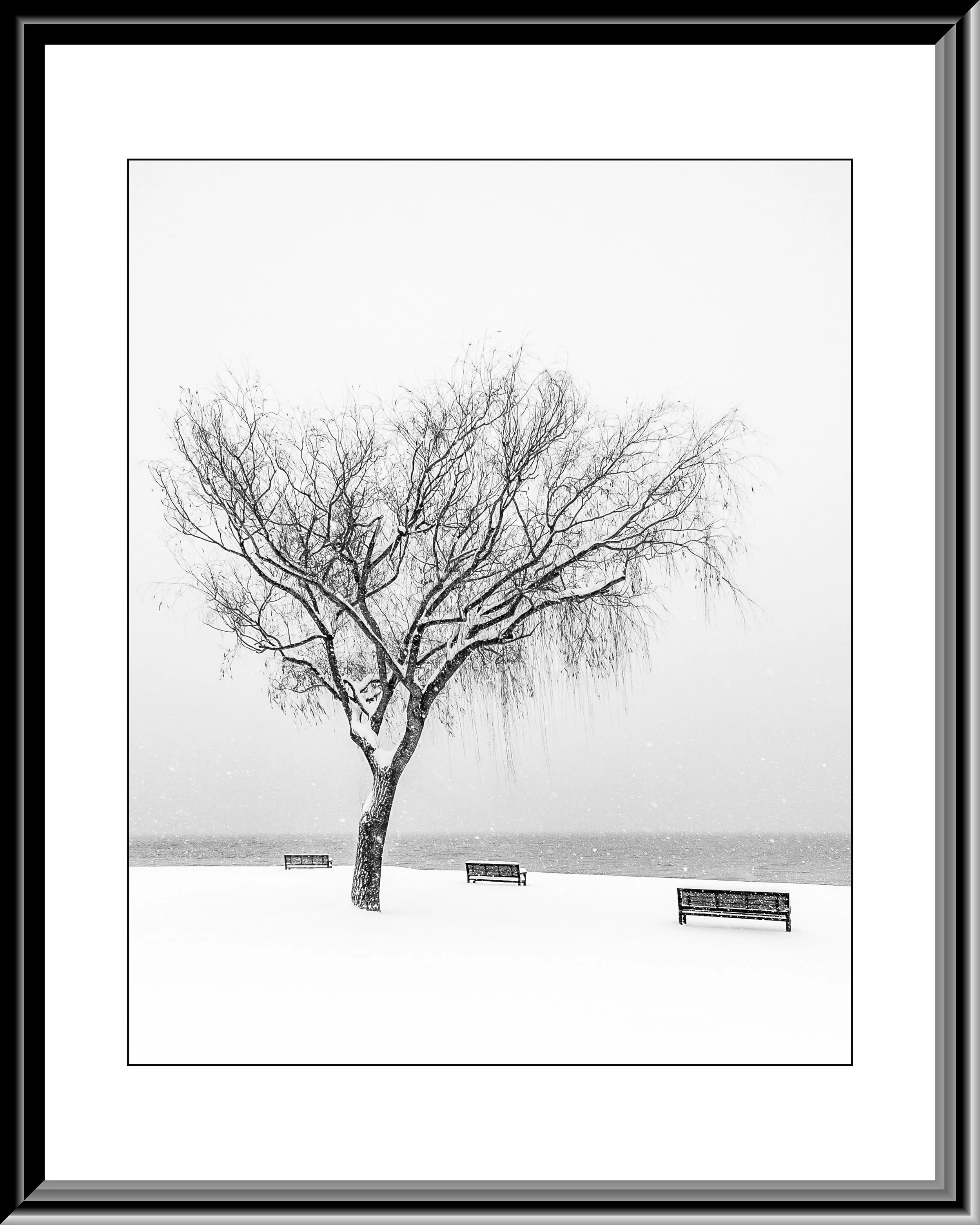 FramedIMG_8873-Edit-Edit.jpg