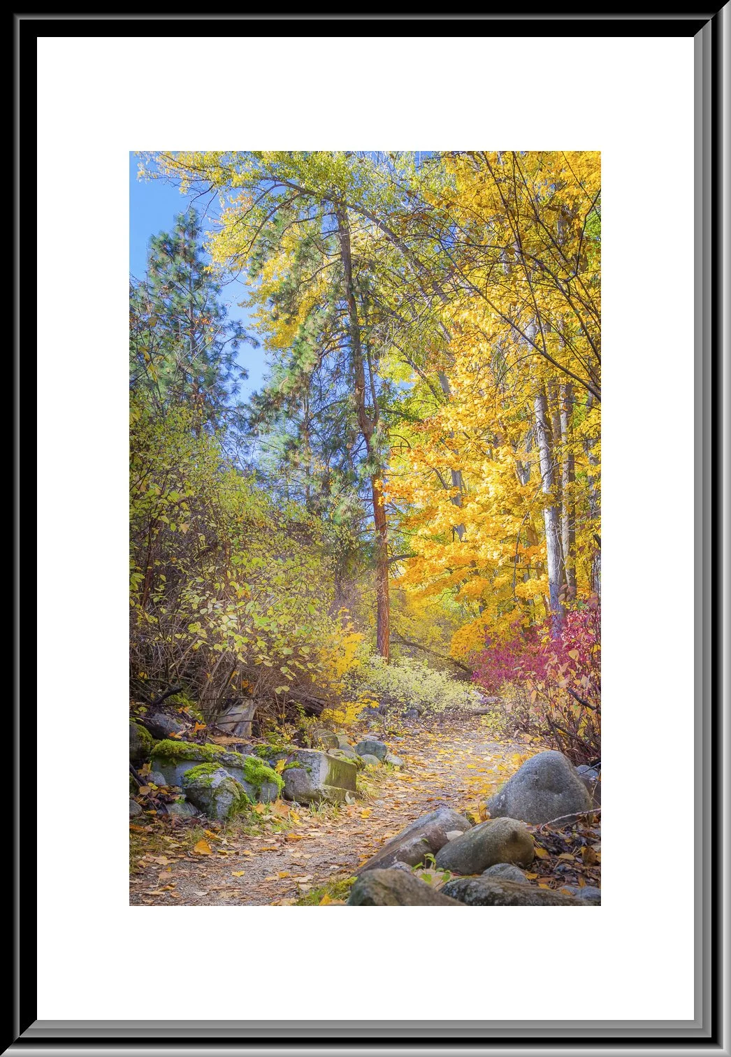 FramedIMG_8726-Edit-Edit copy.jpg