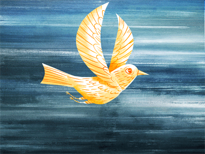 new creation (dove flight test)