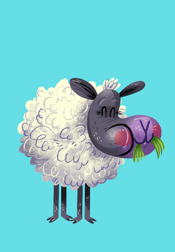 sheep.jpg