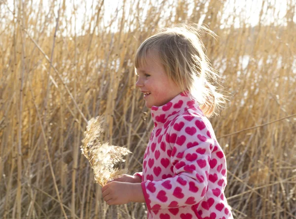 fotgraf Trosa Nyköping Södertälje