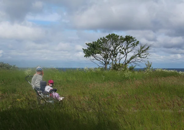 gotland juni 20009 116.jpg