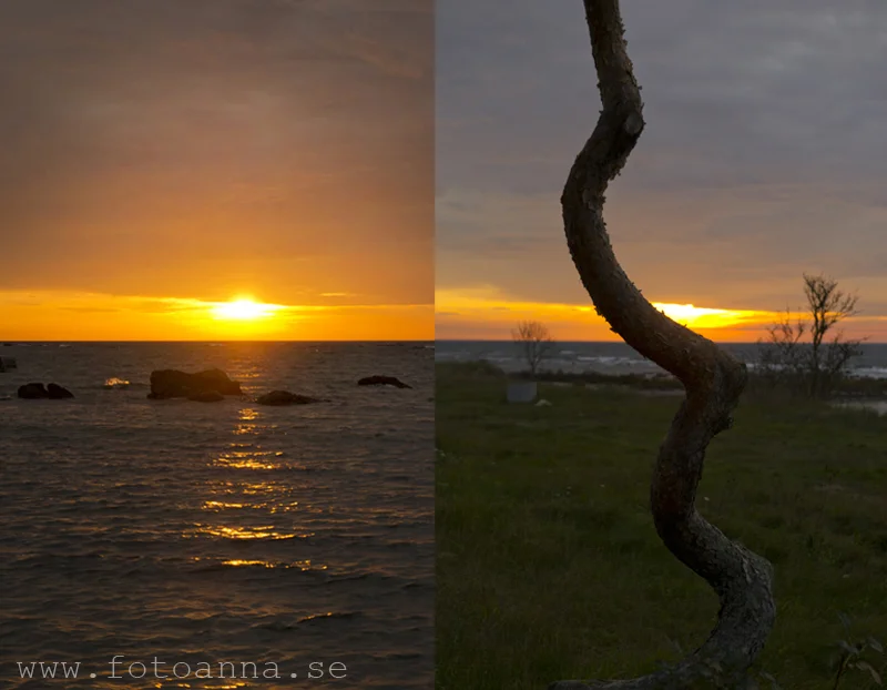 fotograf Anna Zetterström Trosa