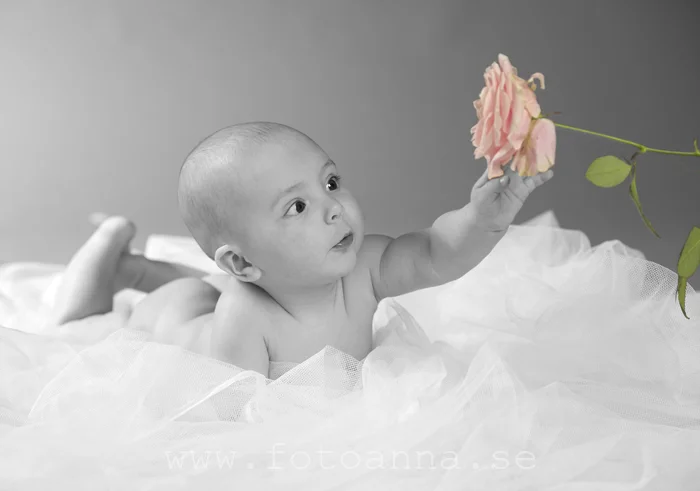 Thelma i Studio FotoAnna