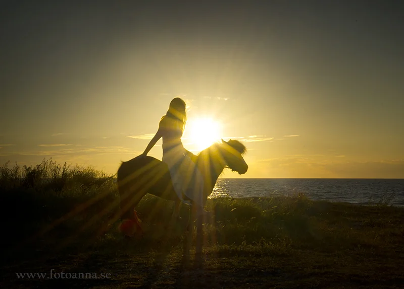 fotografering själsö gotland