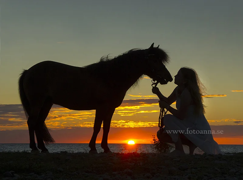 fotografering Själsö Gotland