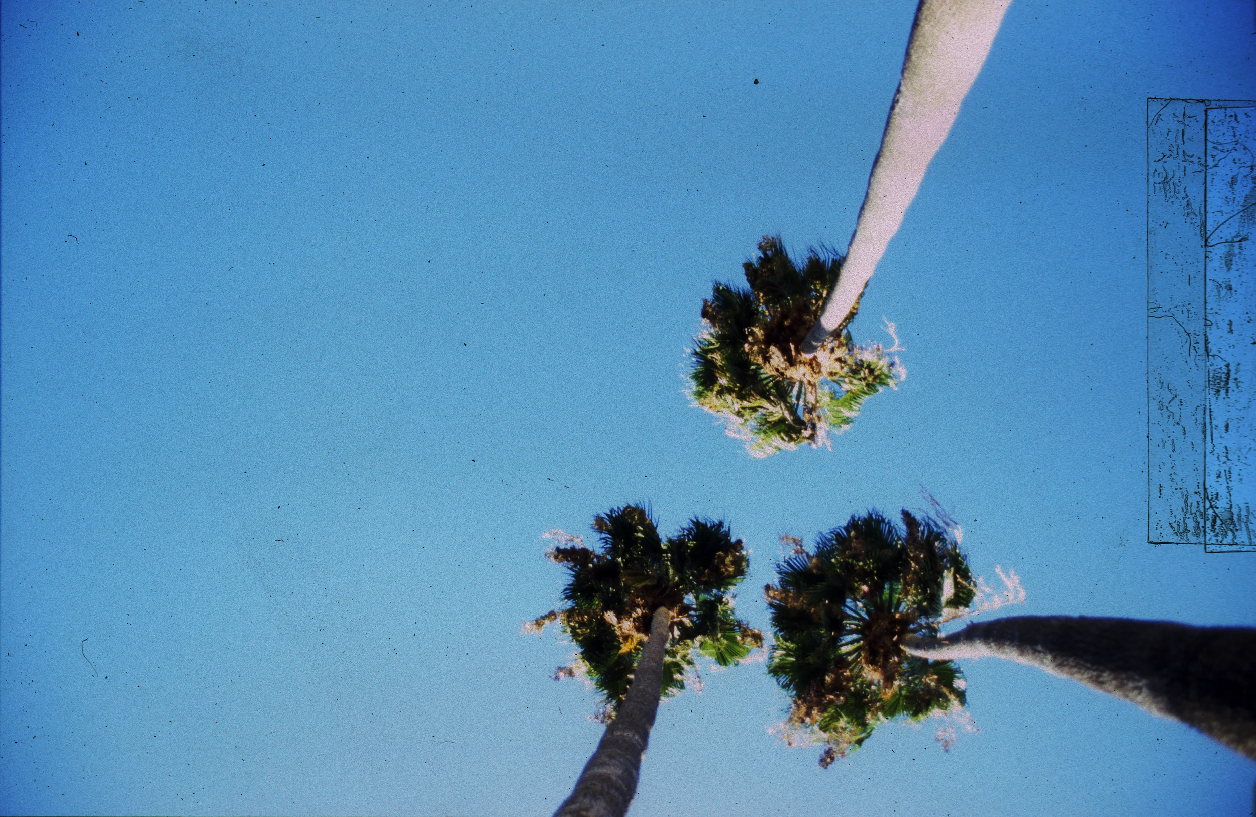 Image22 copy.jpg