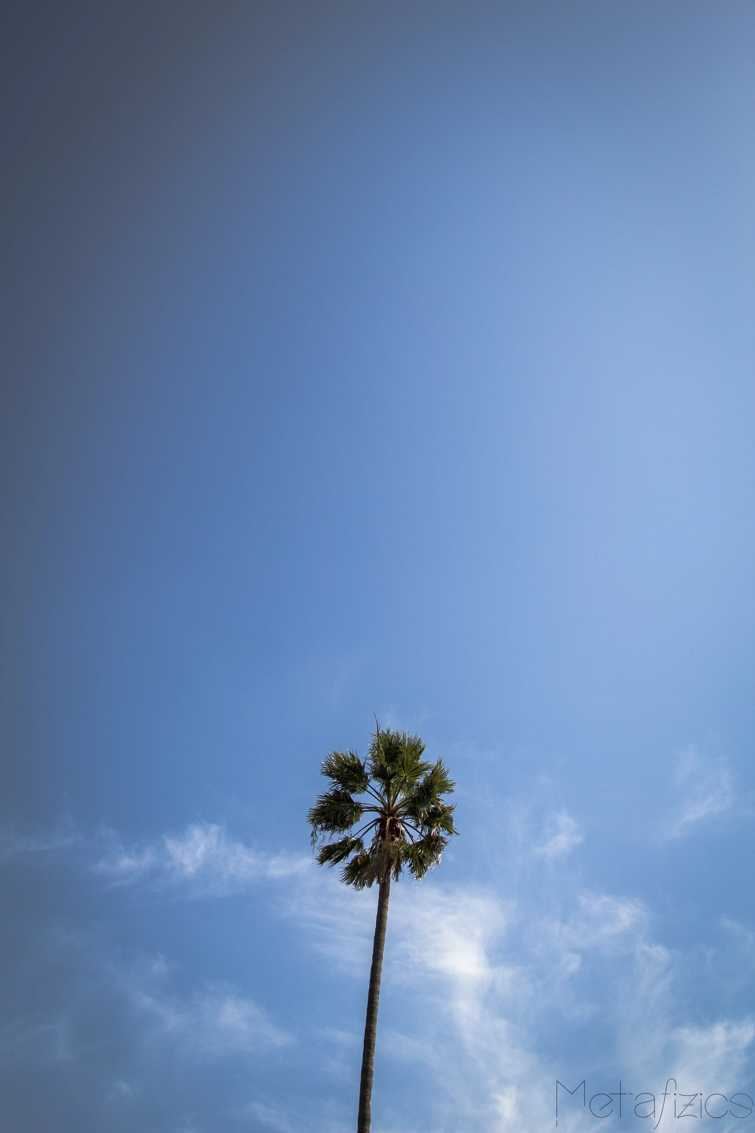 _MG_9874.jpg