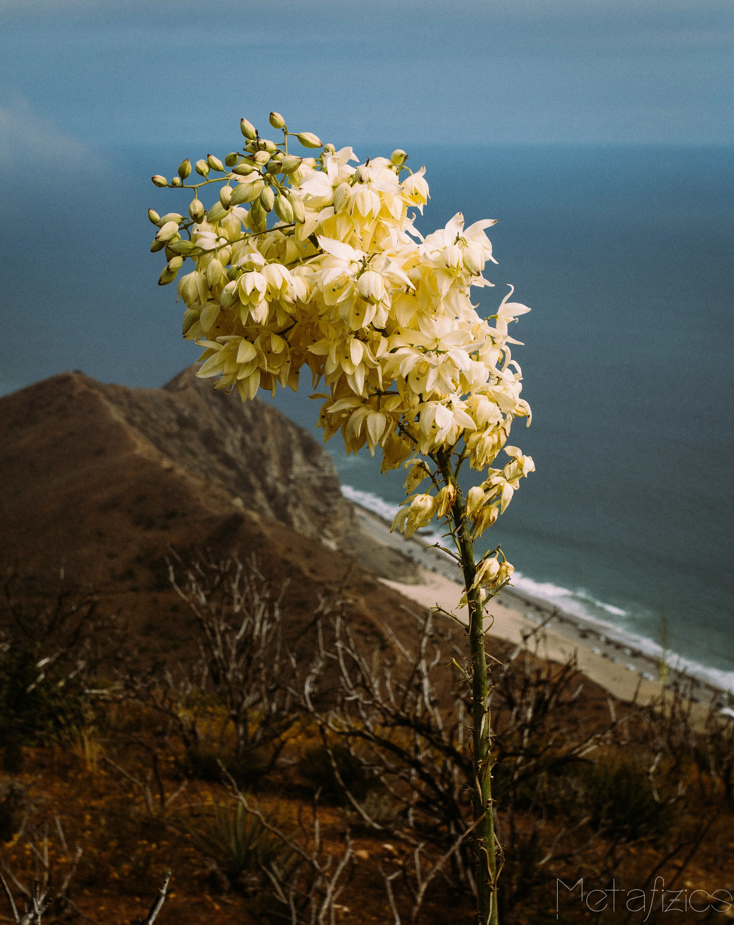 _MG_9459.jpg