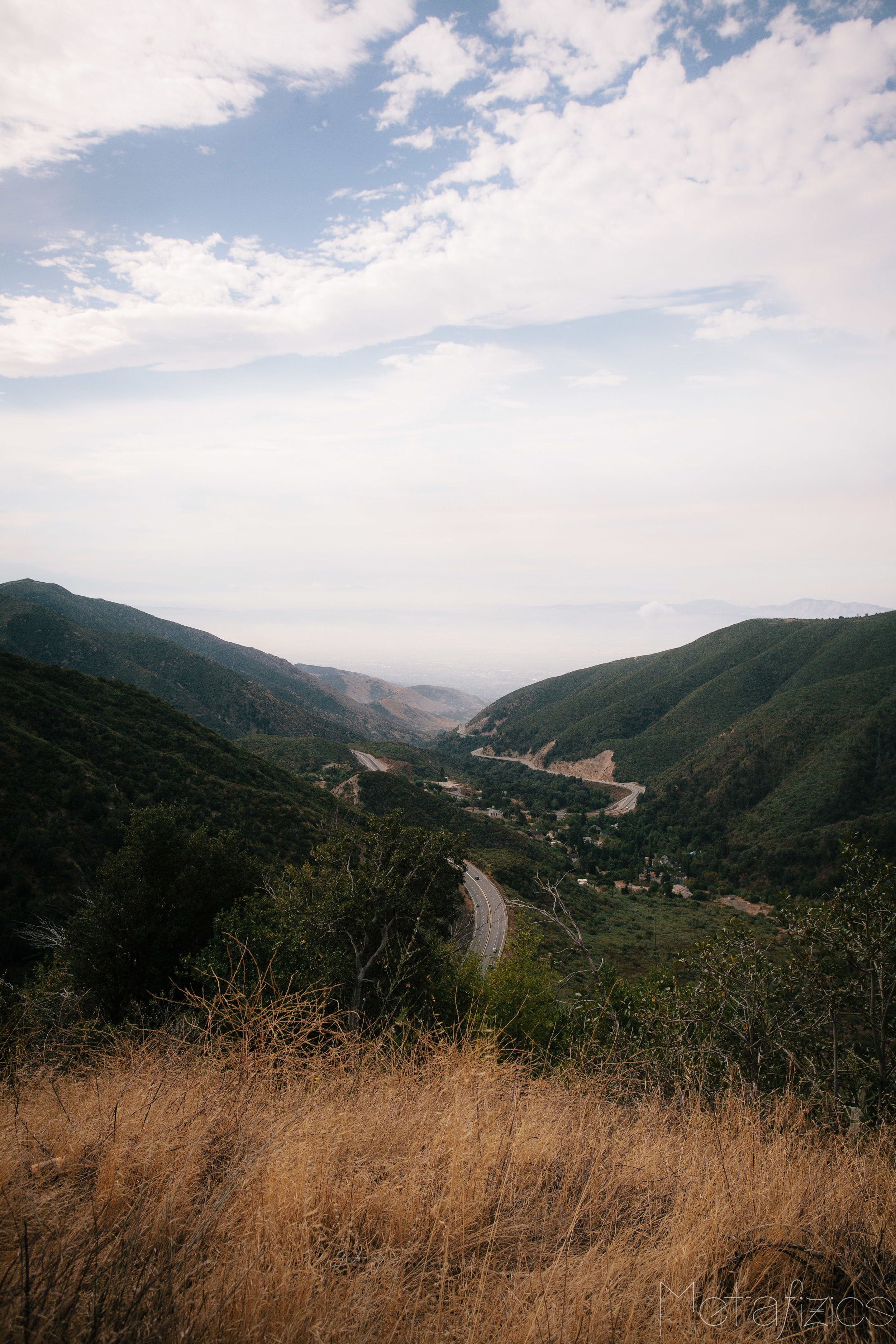 _MG_5344.jpg