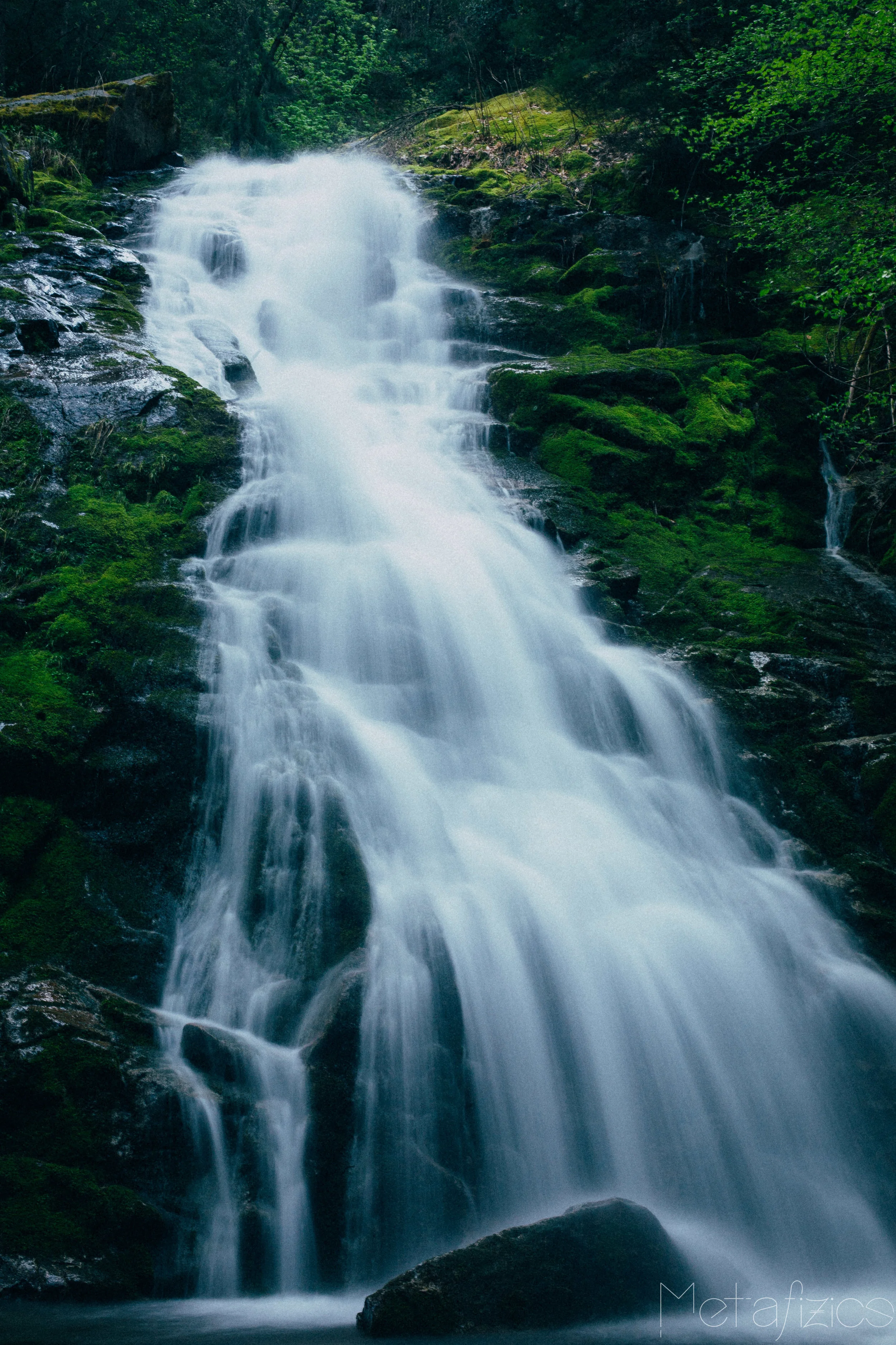 _MG_3810.jpg