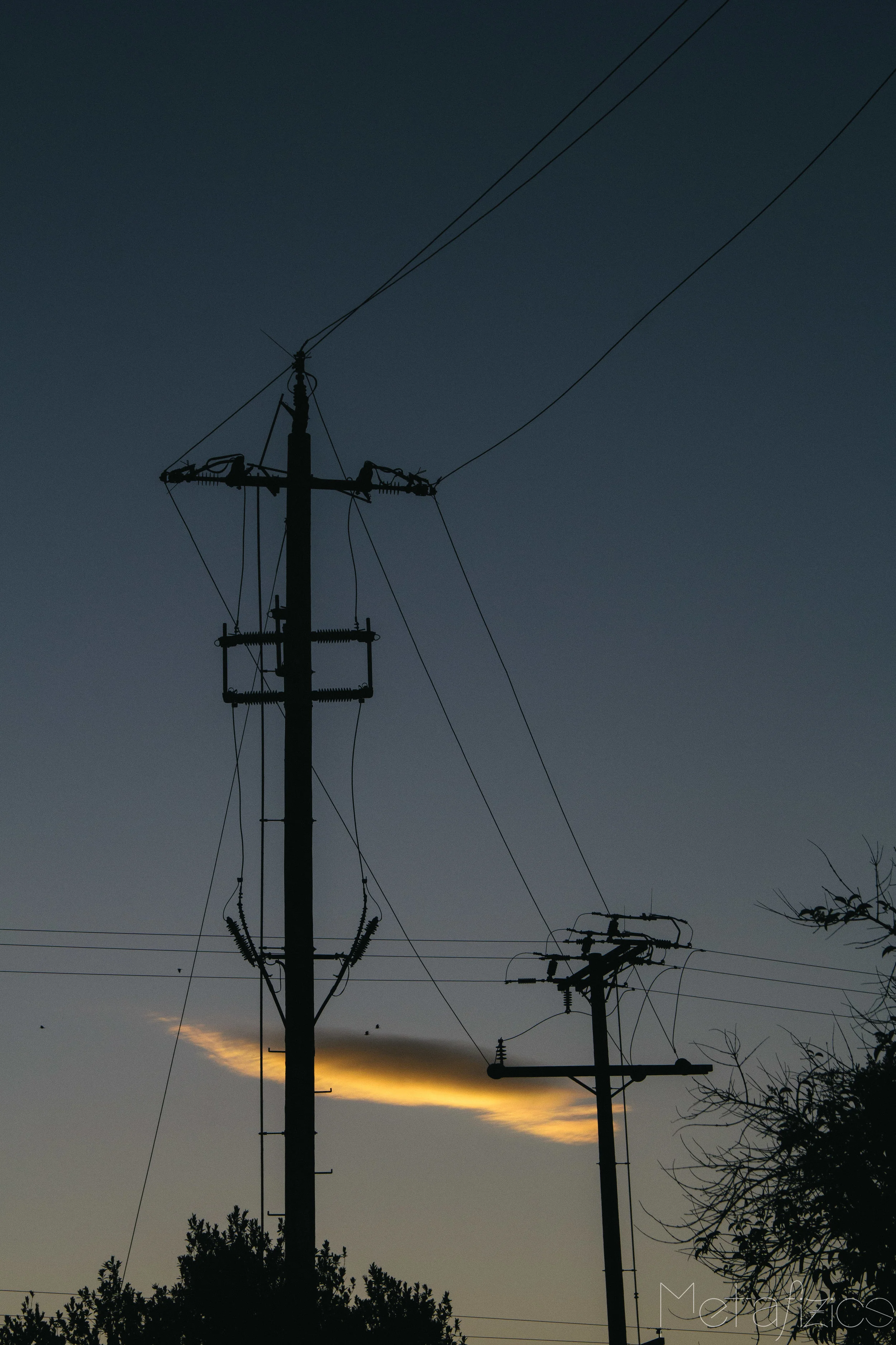 _MG_6481.jpg
