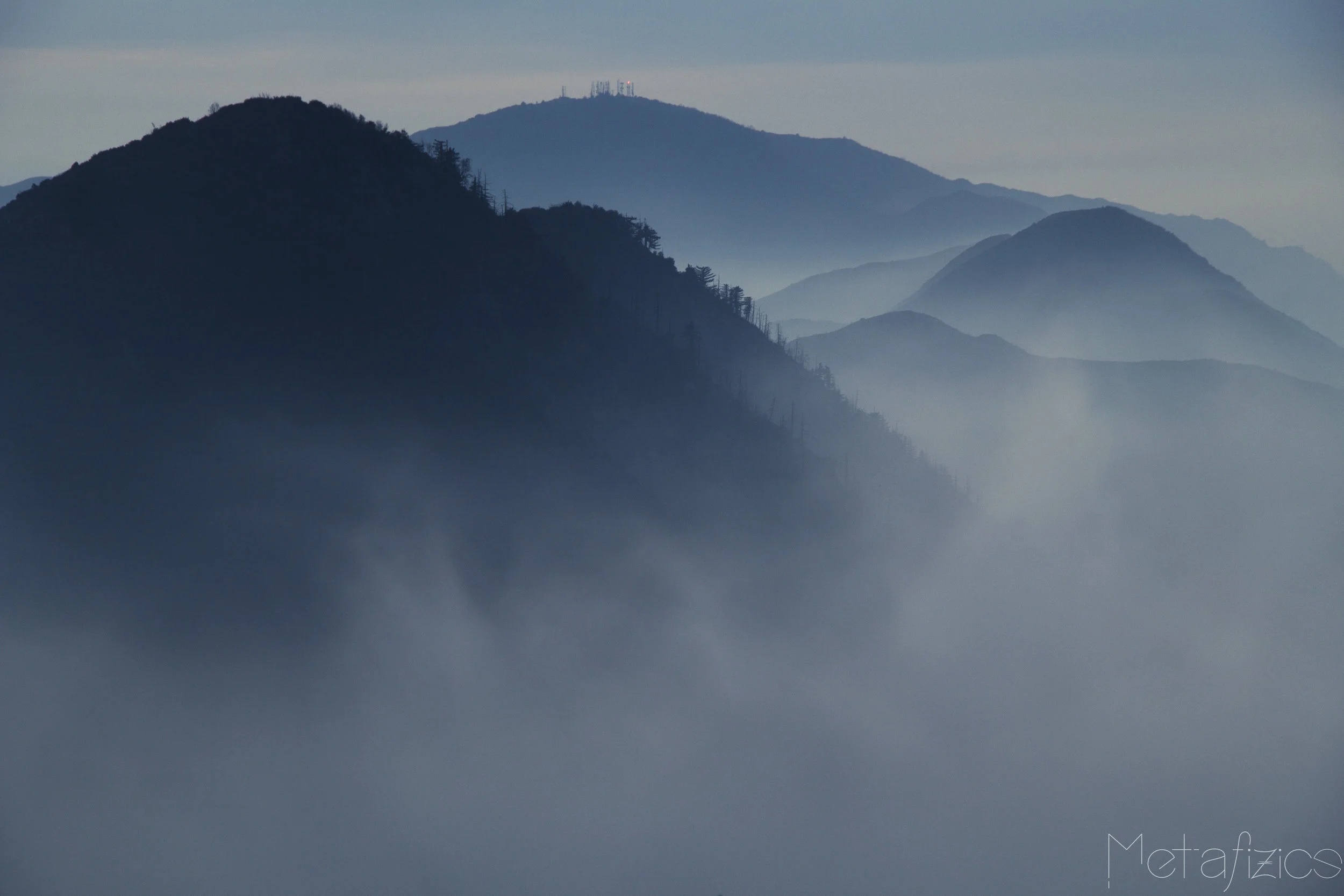 _MG_9729.jpg