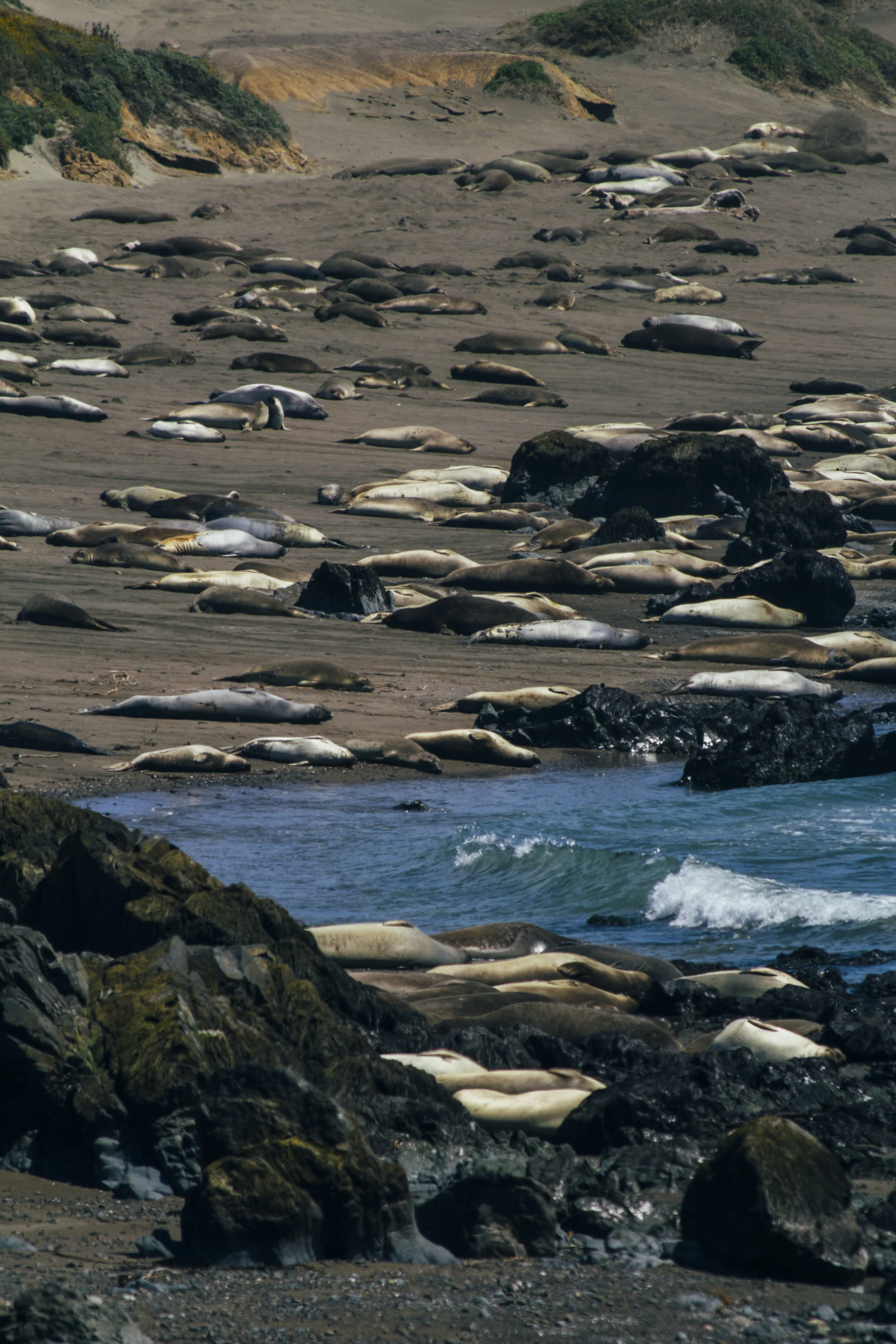 _MG_2163.jpg
