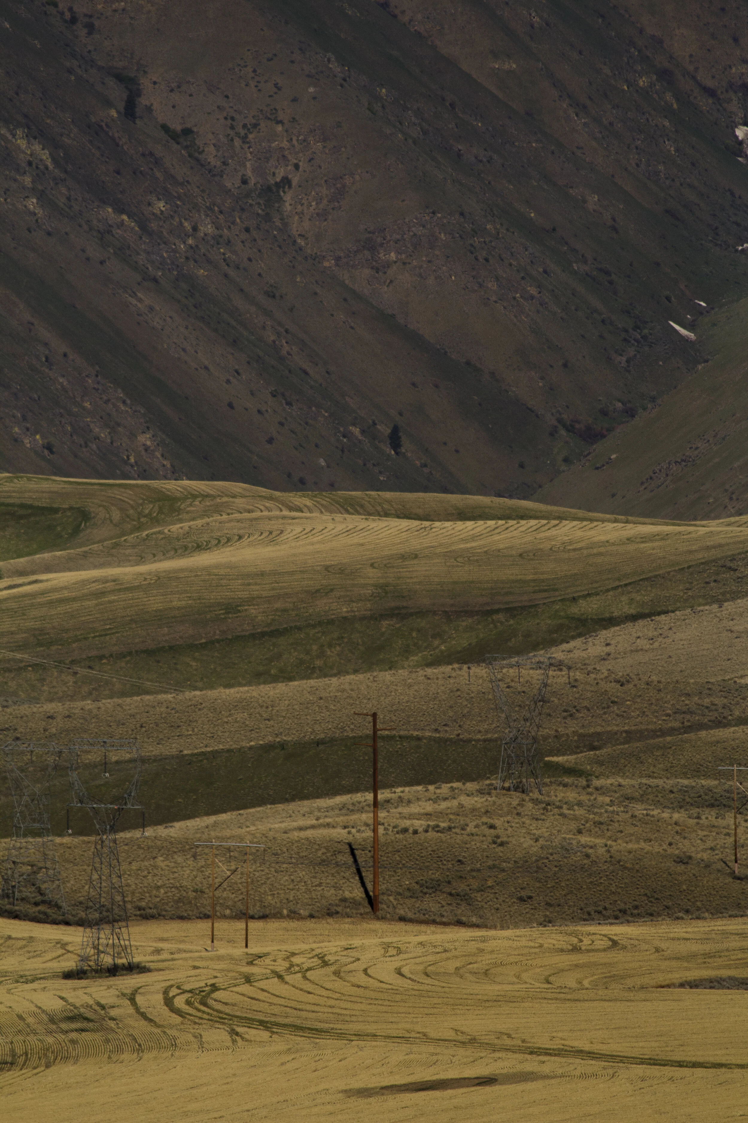 _MG_2822.jpg