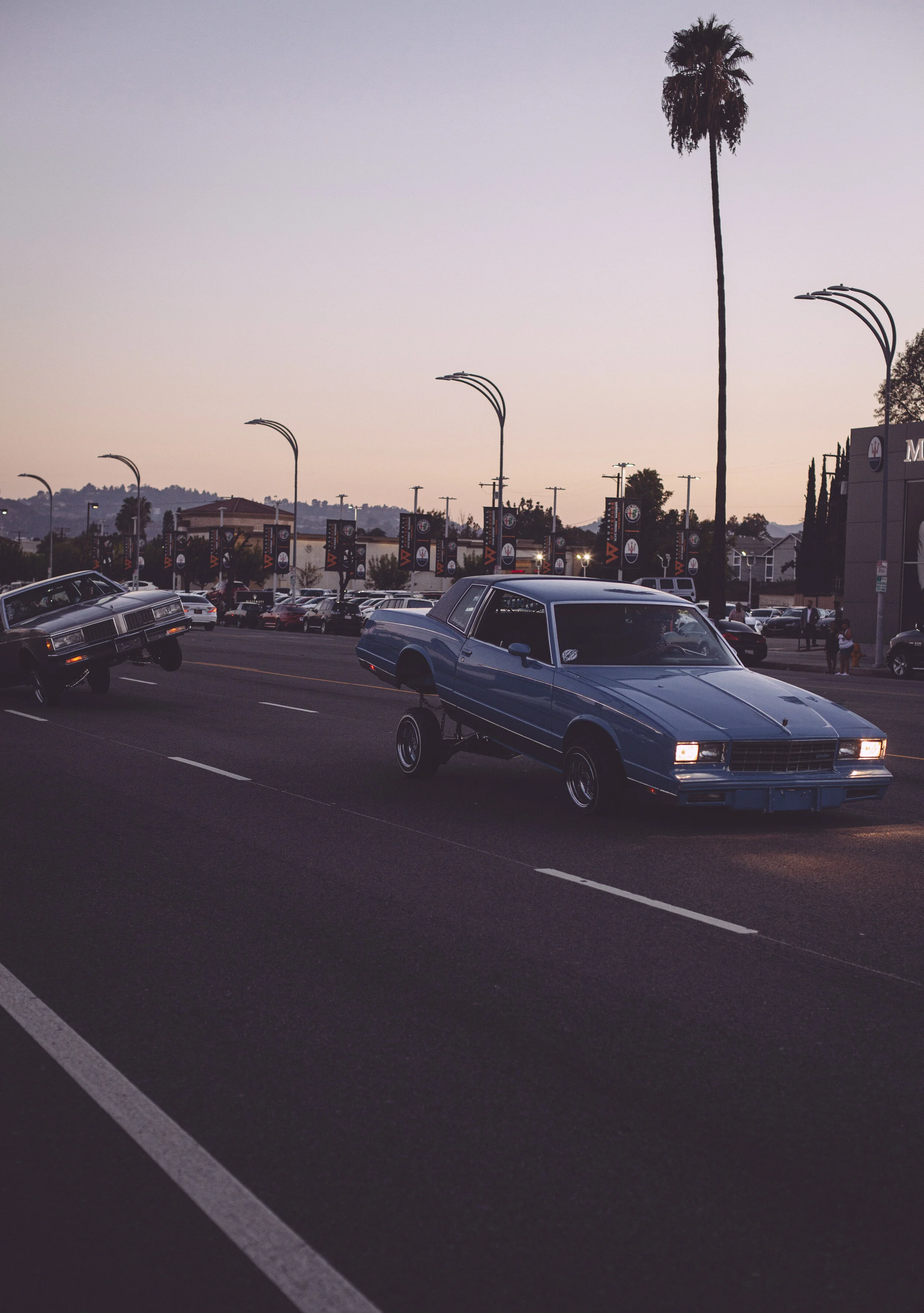 _MG_5278.jpg