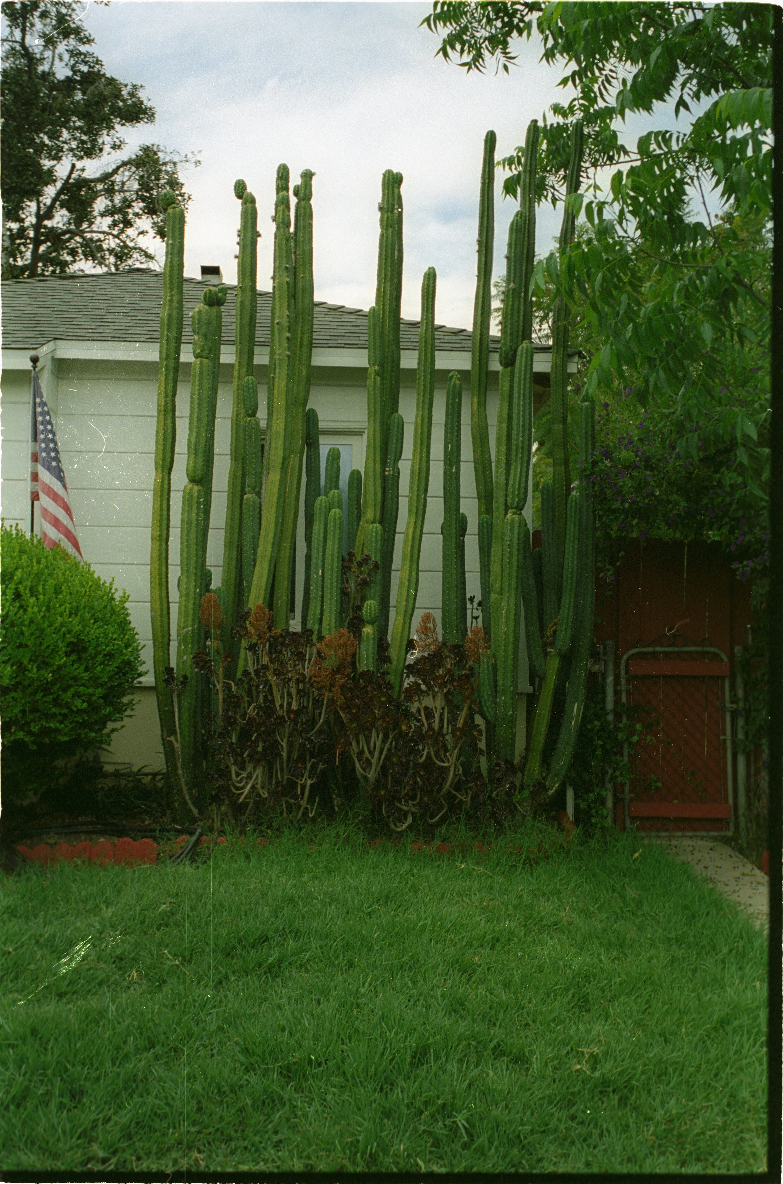 Image21.jpg