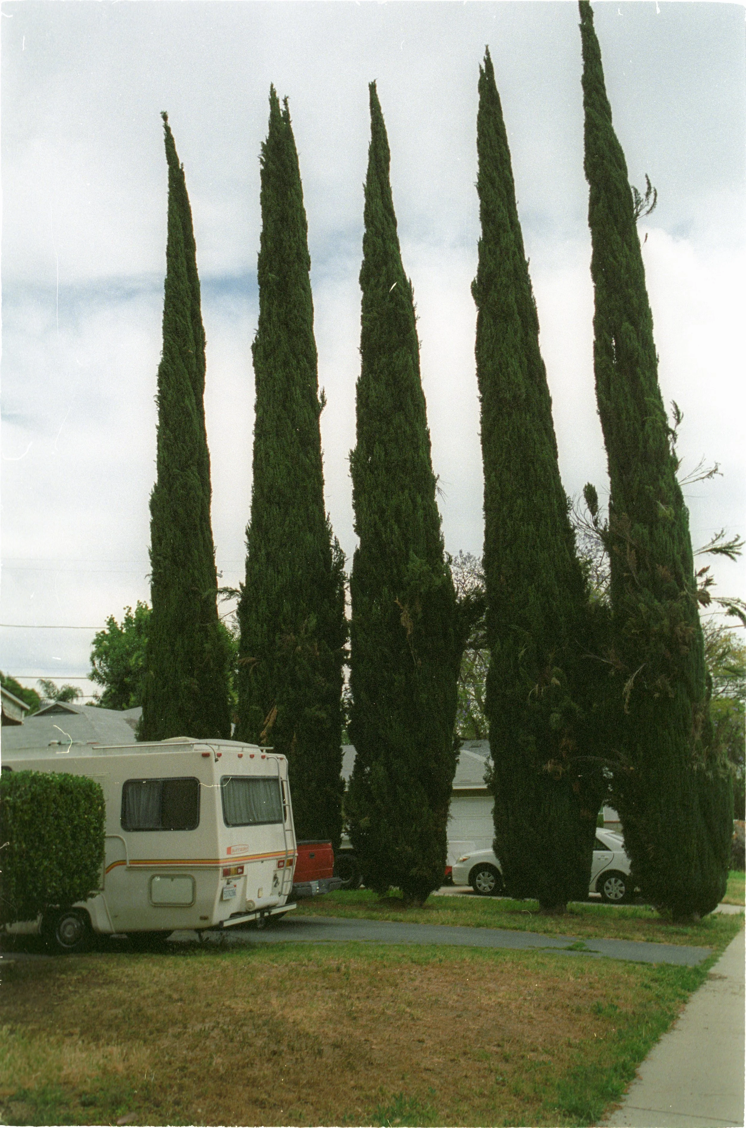 Image24.jpg