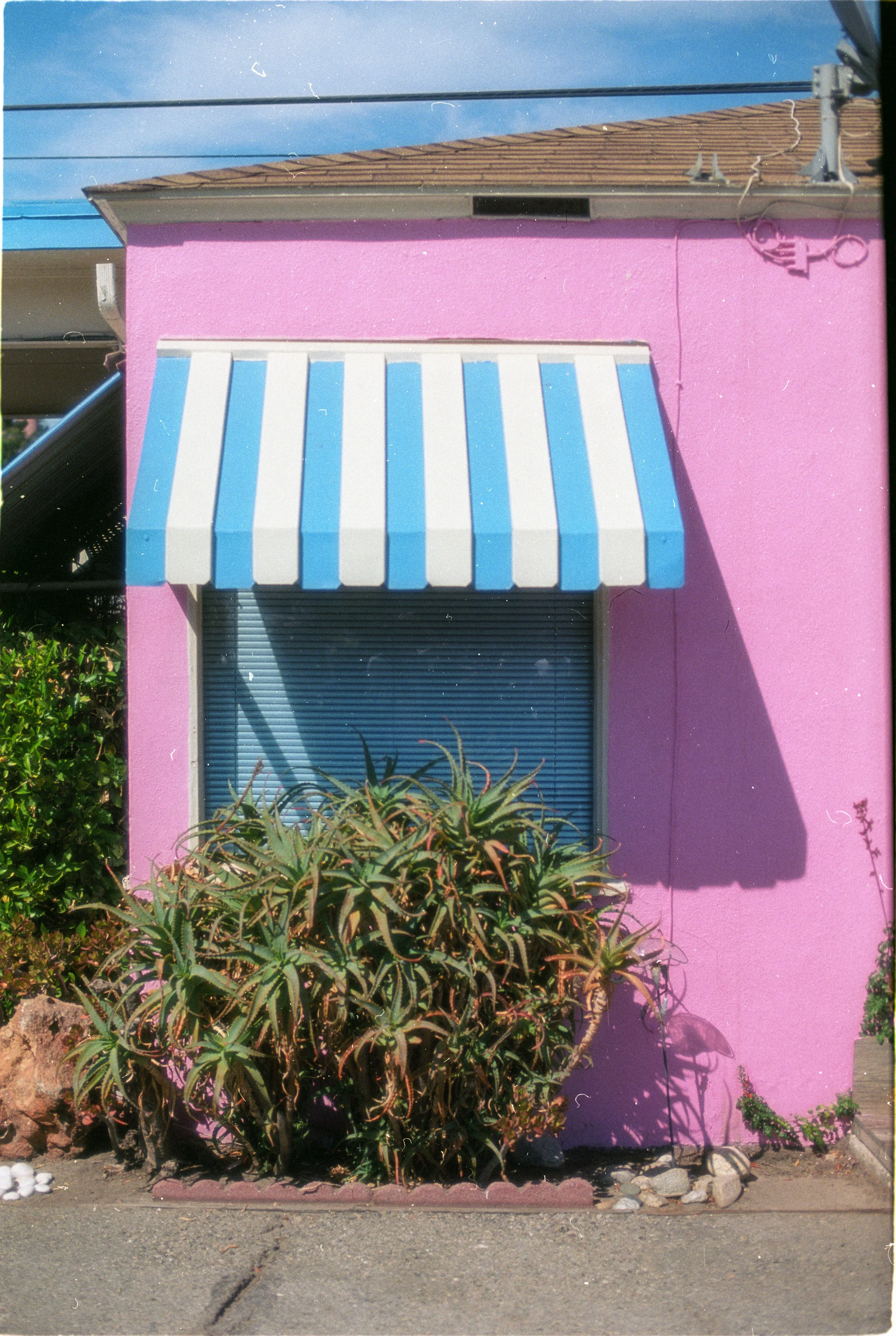 Image36.jpg