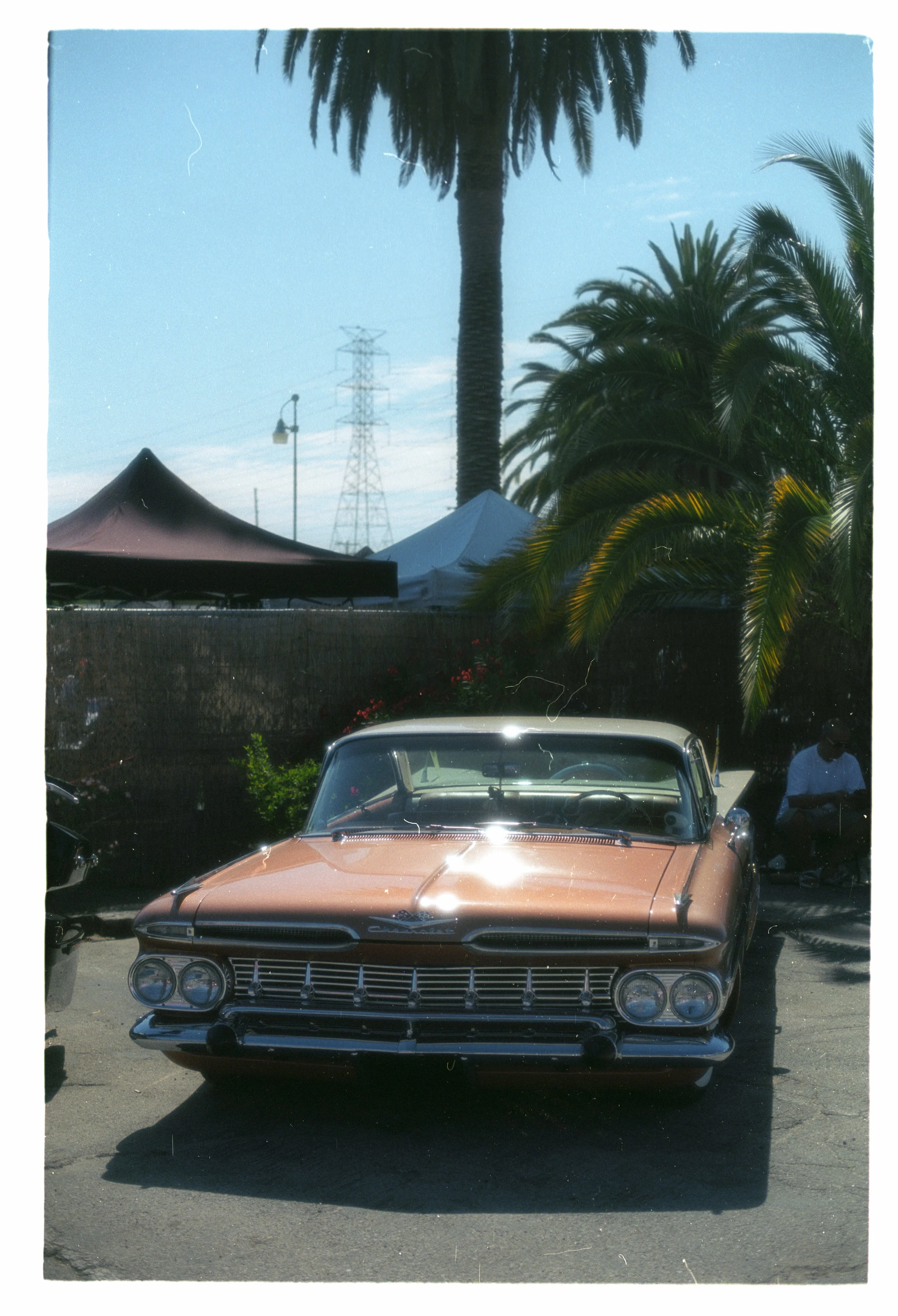 Image40.jpg