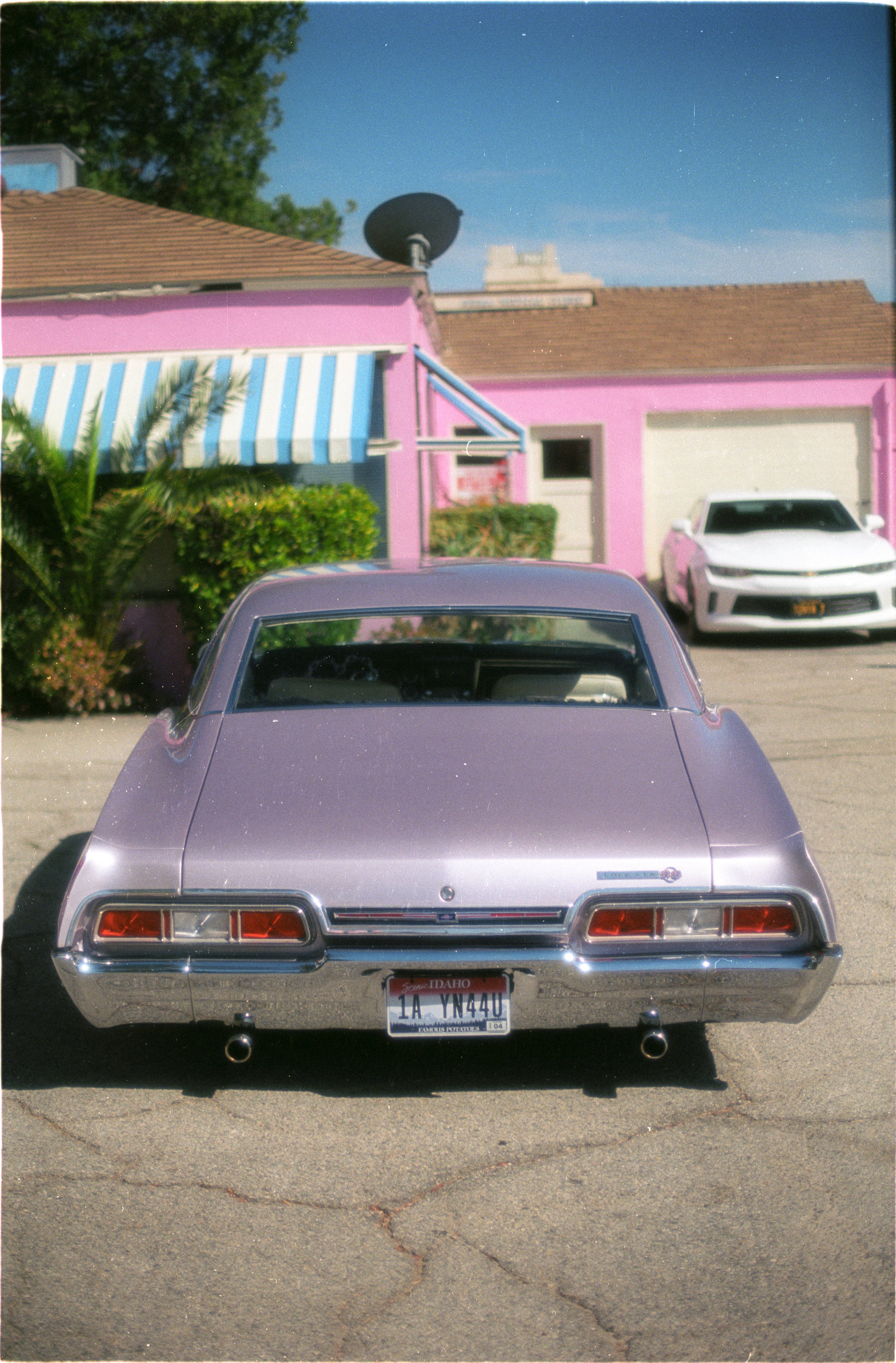 Image47.jpg