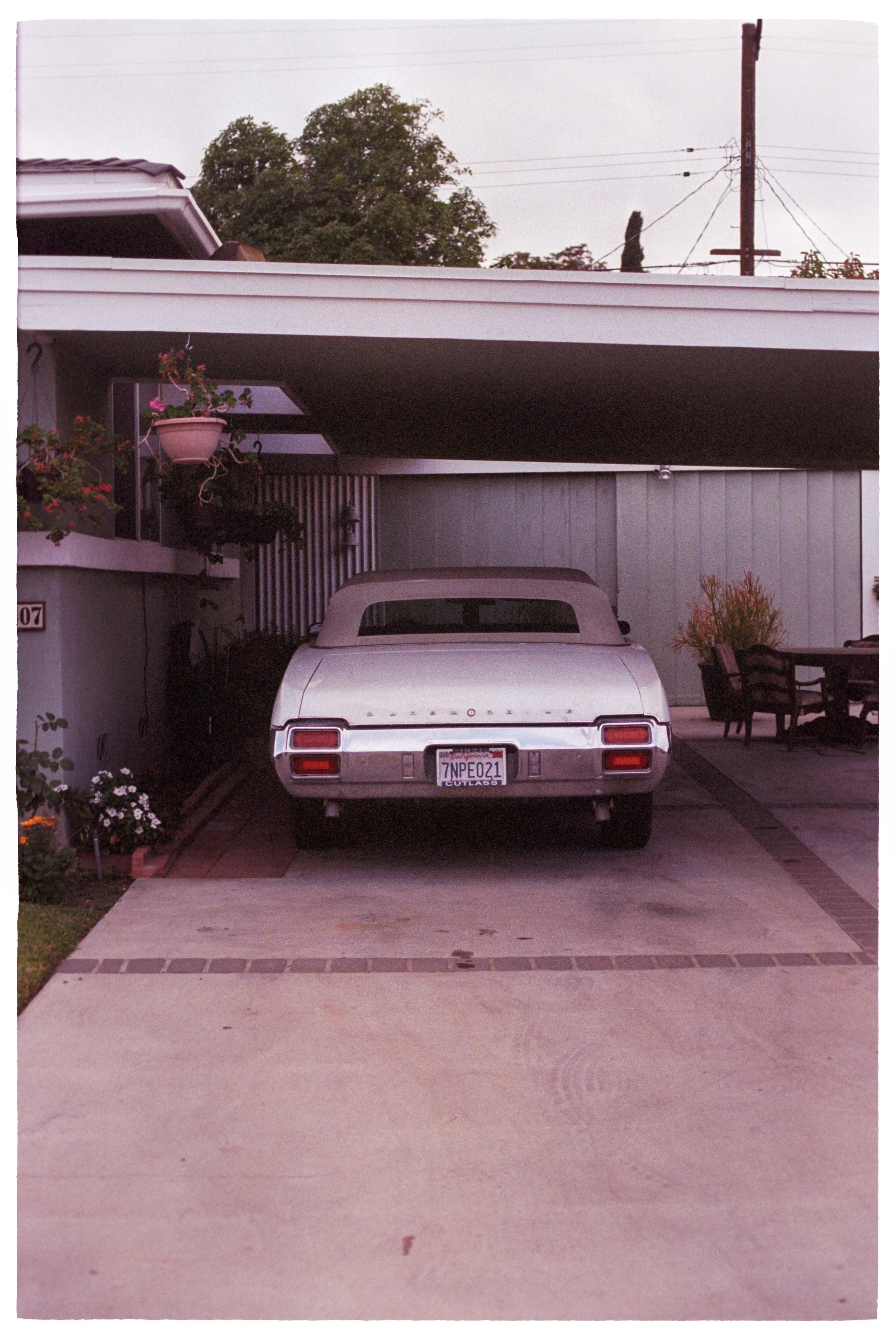 Image99.jpg