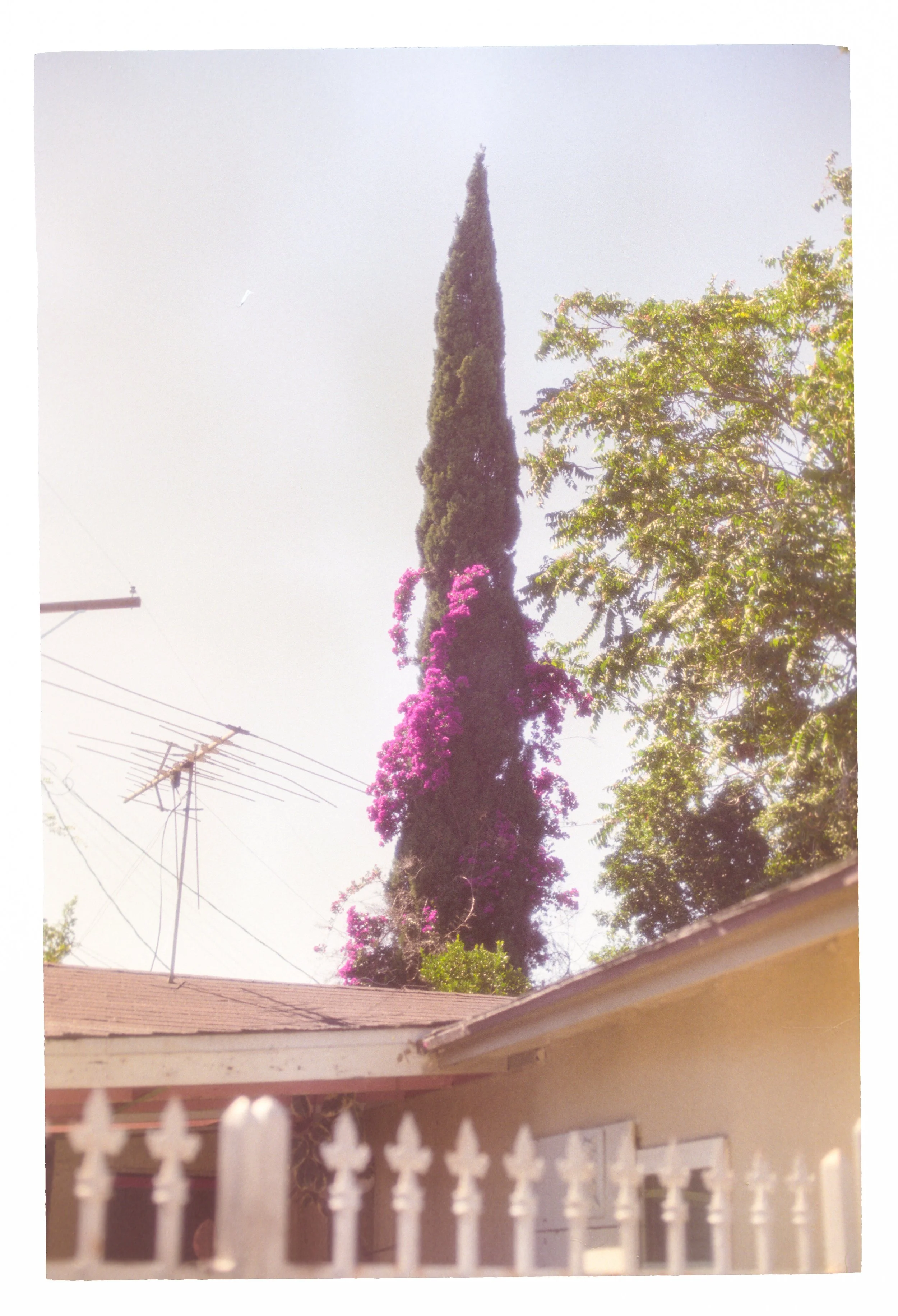 Image137.jpg