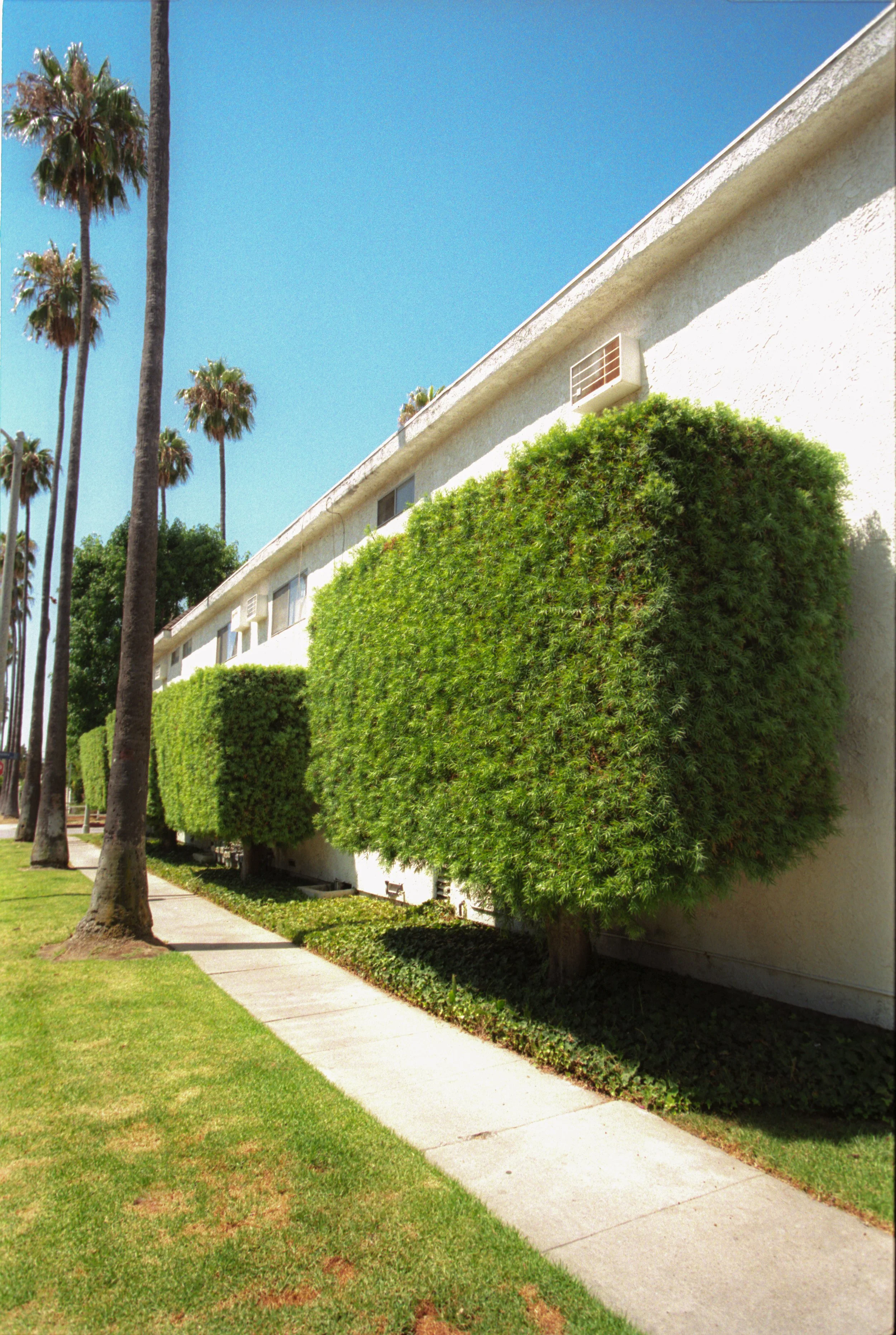 Image307.jpg