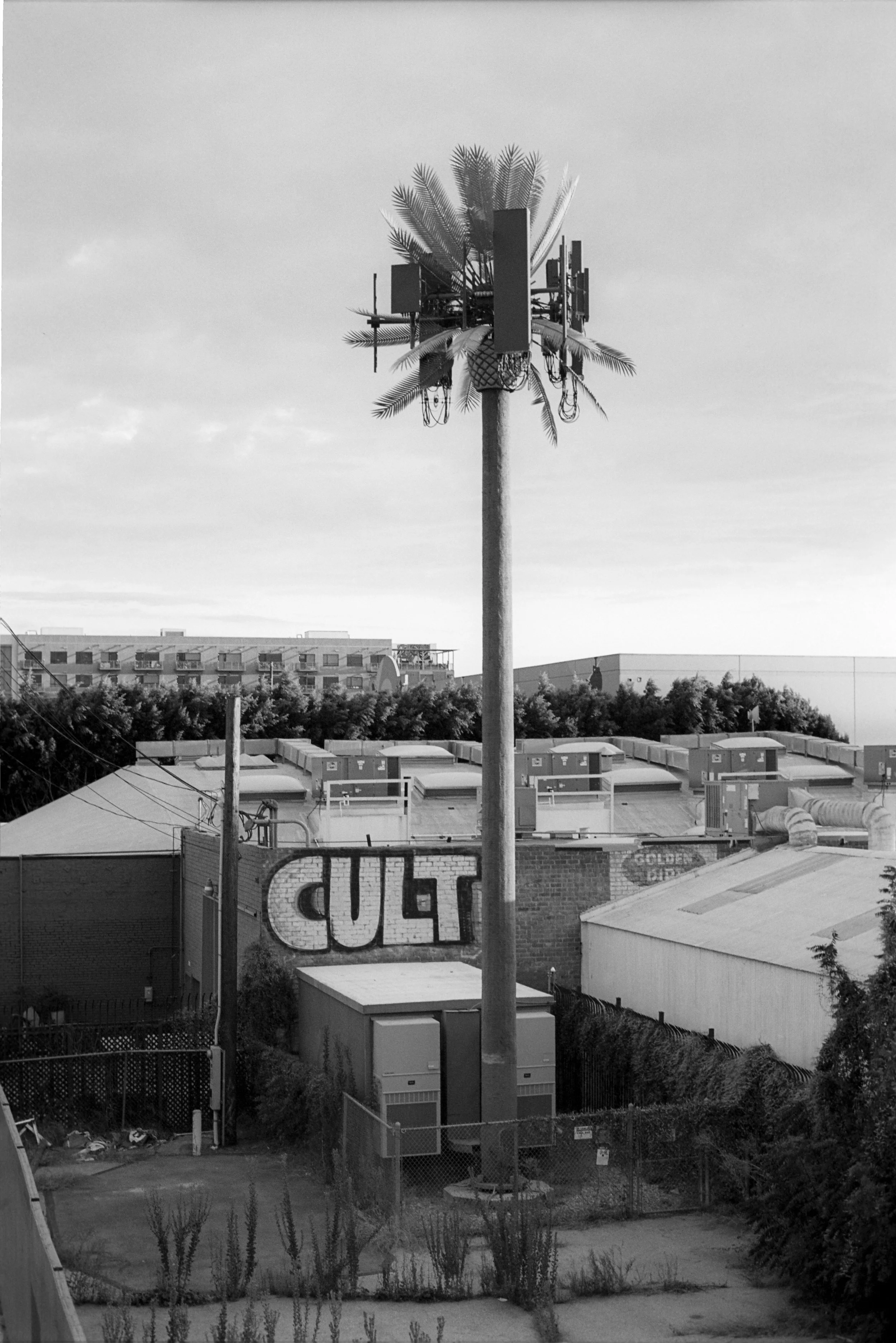 Image72.jpg