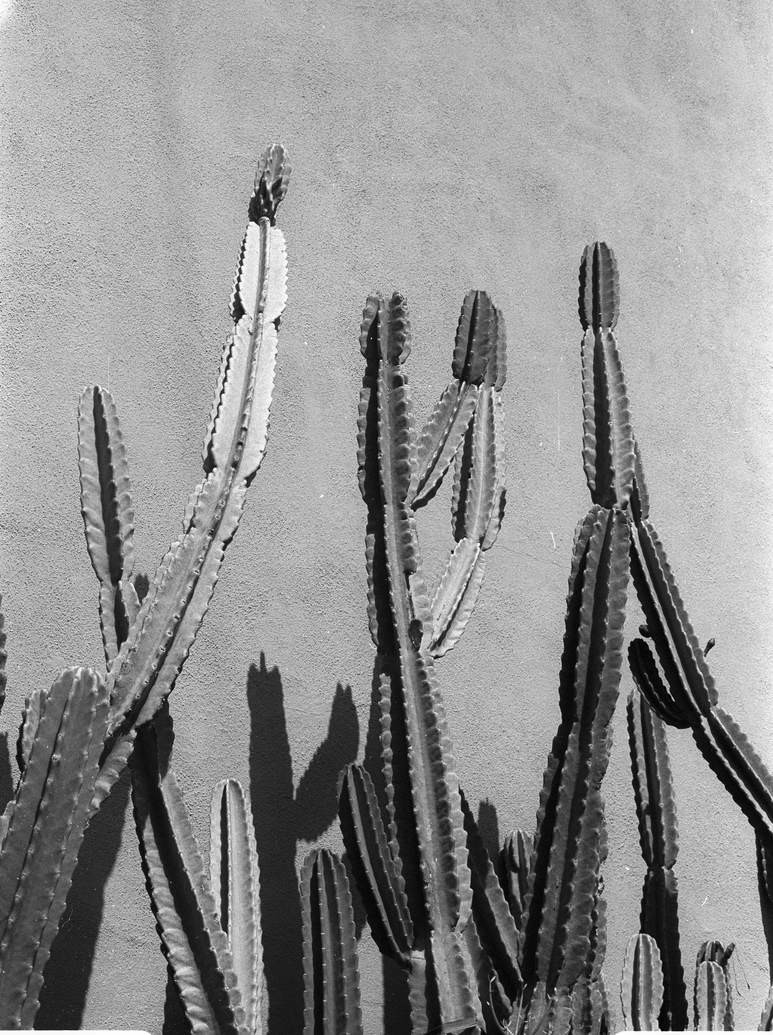 Image161.jpg
