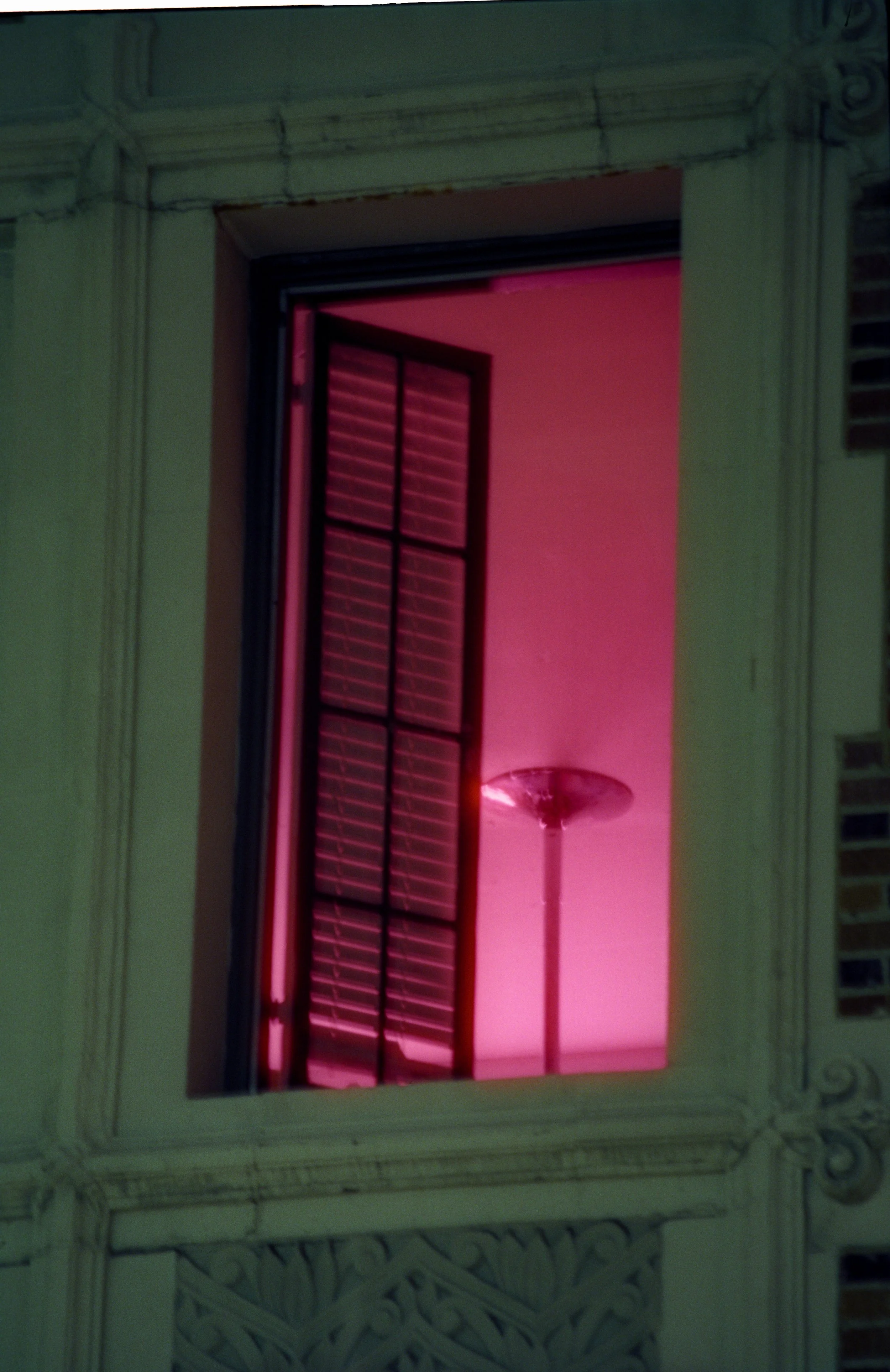 Image310.jpg