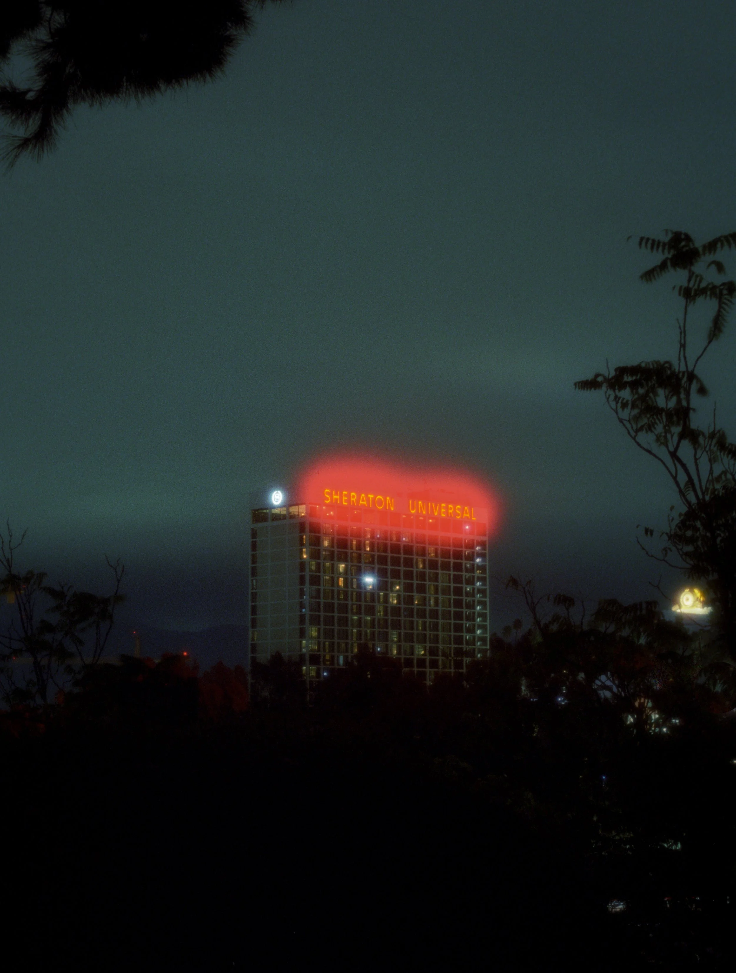 Image322.jpg