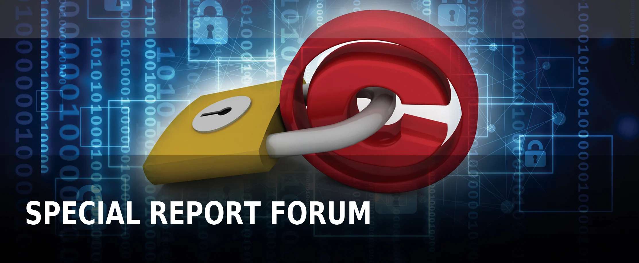 ReportTitle_SRFORUM.jpg