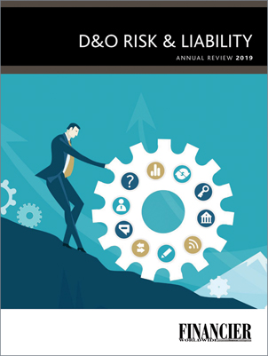 Cover_D&O Risk & Liability.jpg