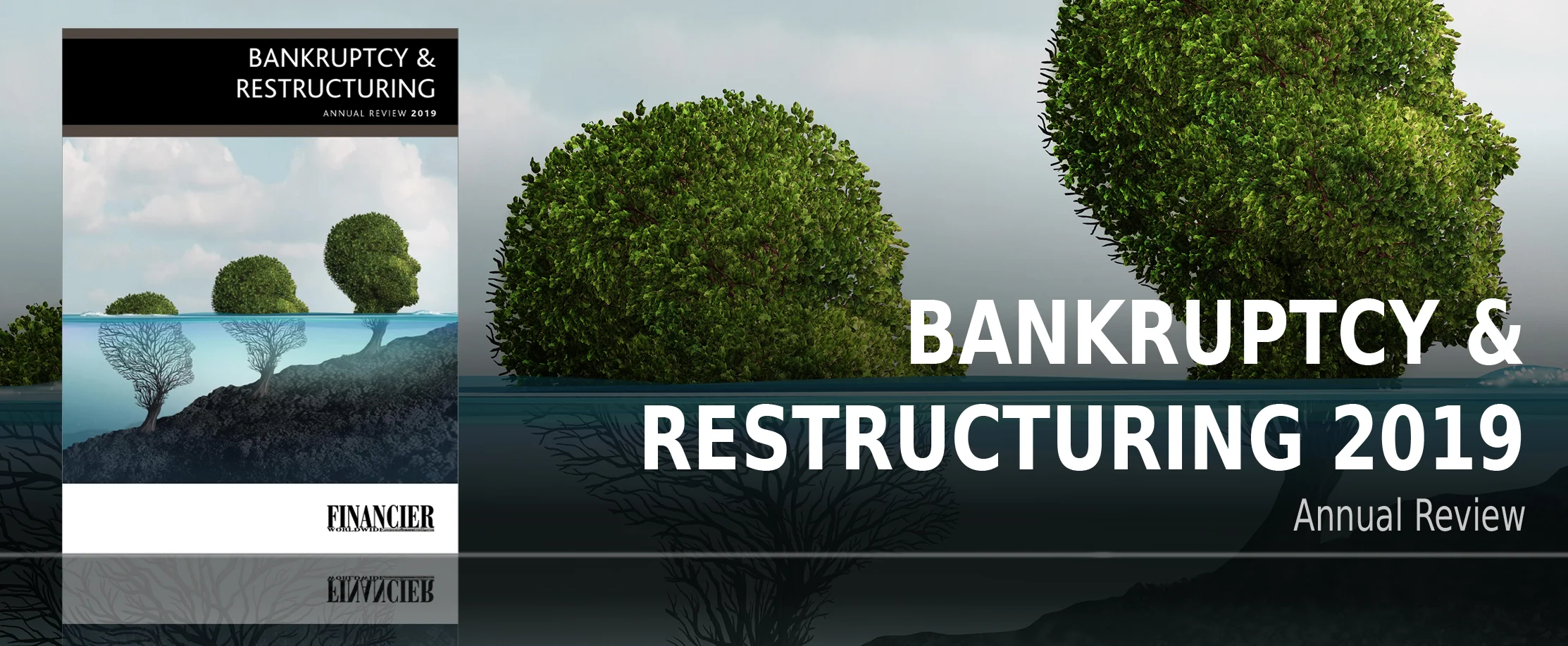 ARTitle_BANKRUPTCY.jpg