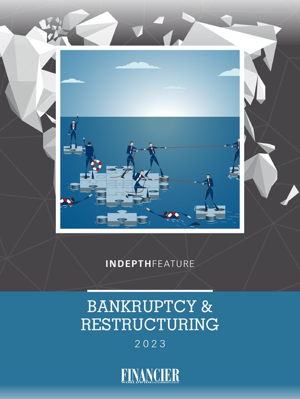 INCover_Bankruptcy & Restructuring LARGE.jpg