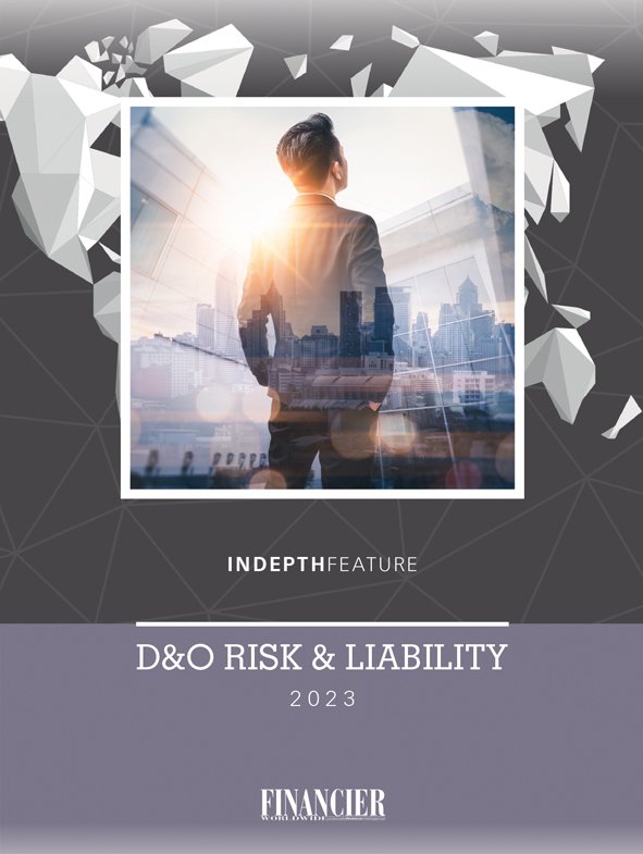 INCover_D&O Risk LARGE.jpg