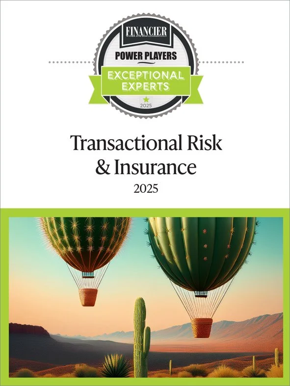 PPCover_EE_ Transactional Risk & Insurance 2025_LARGE.jpg